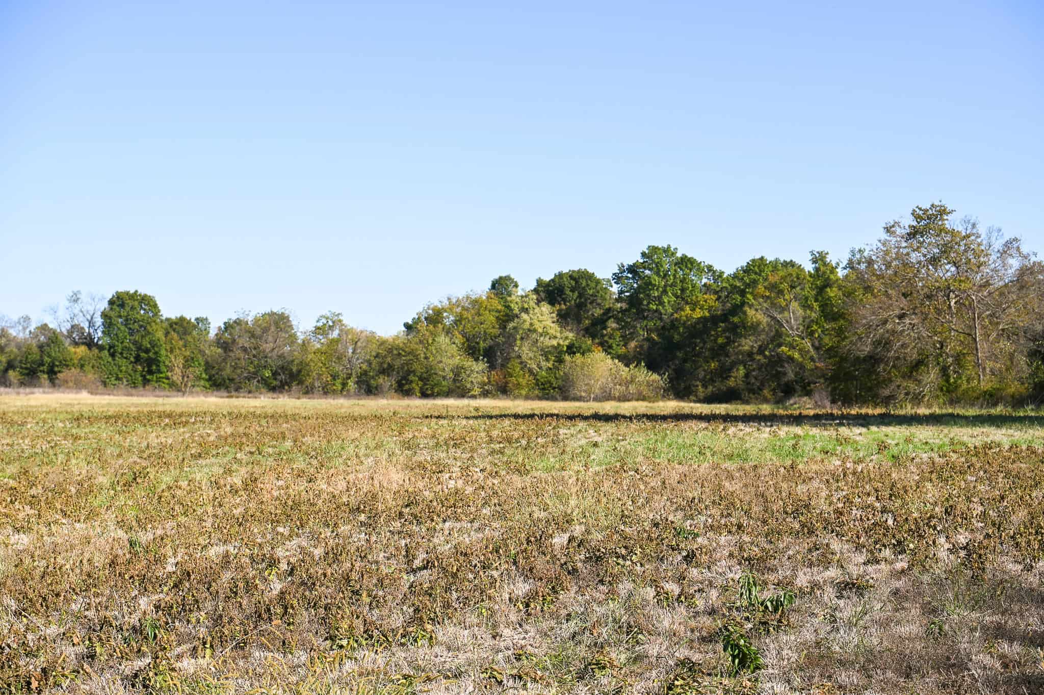 Land for Sale Barton County, MO