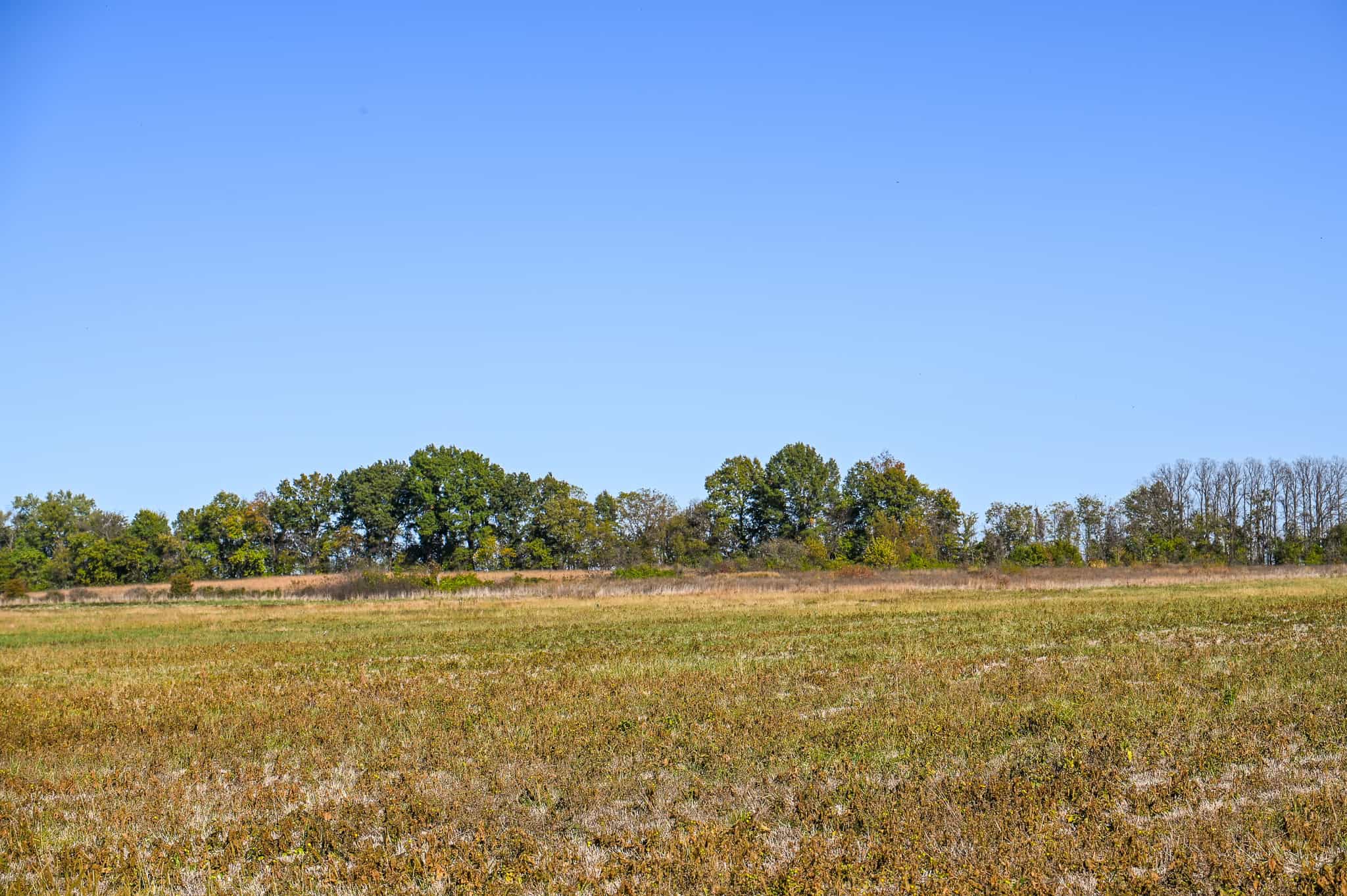 Land for Sale Barton County, MO