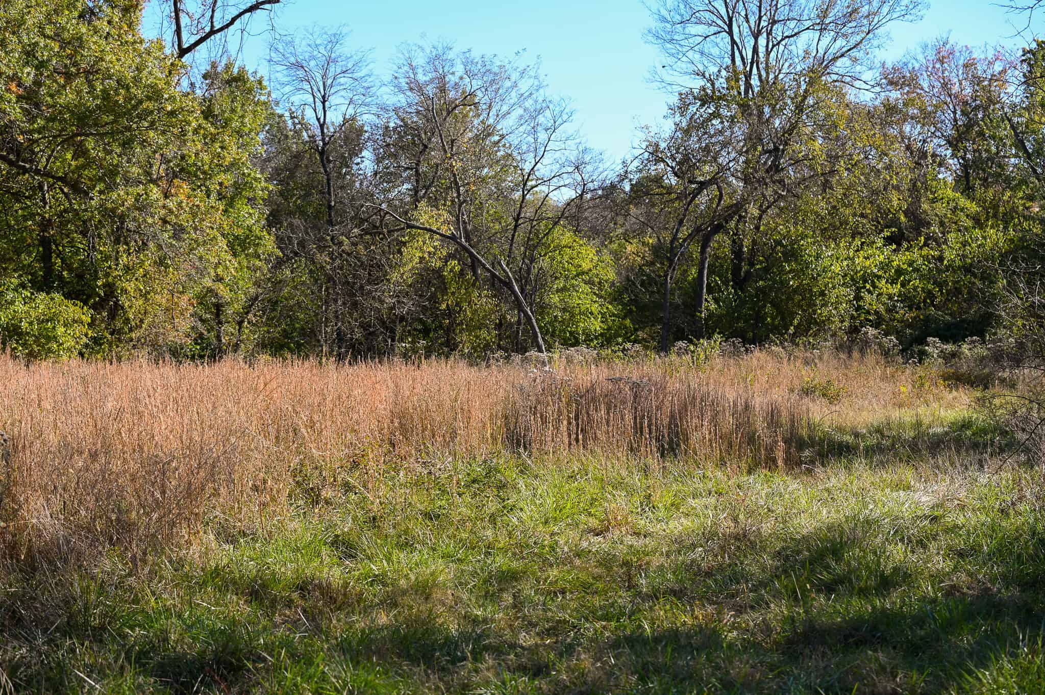 Land for Sale Barton County, MO