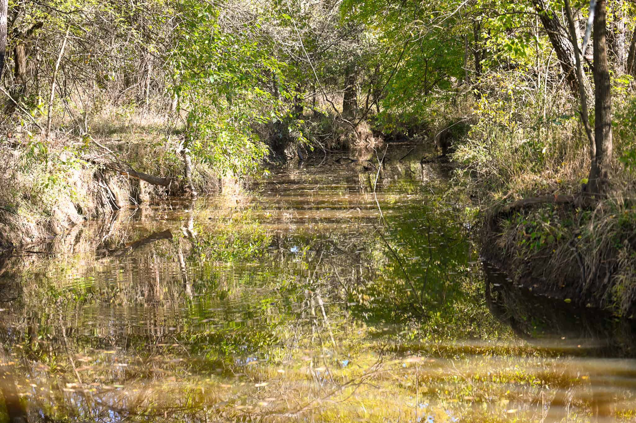 Land for Sale Barton County, MO