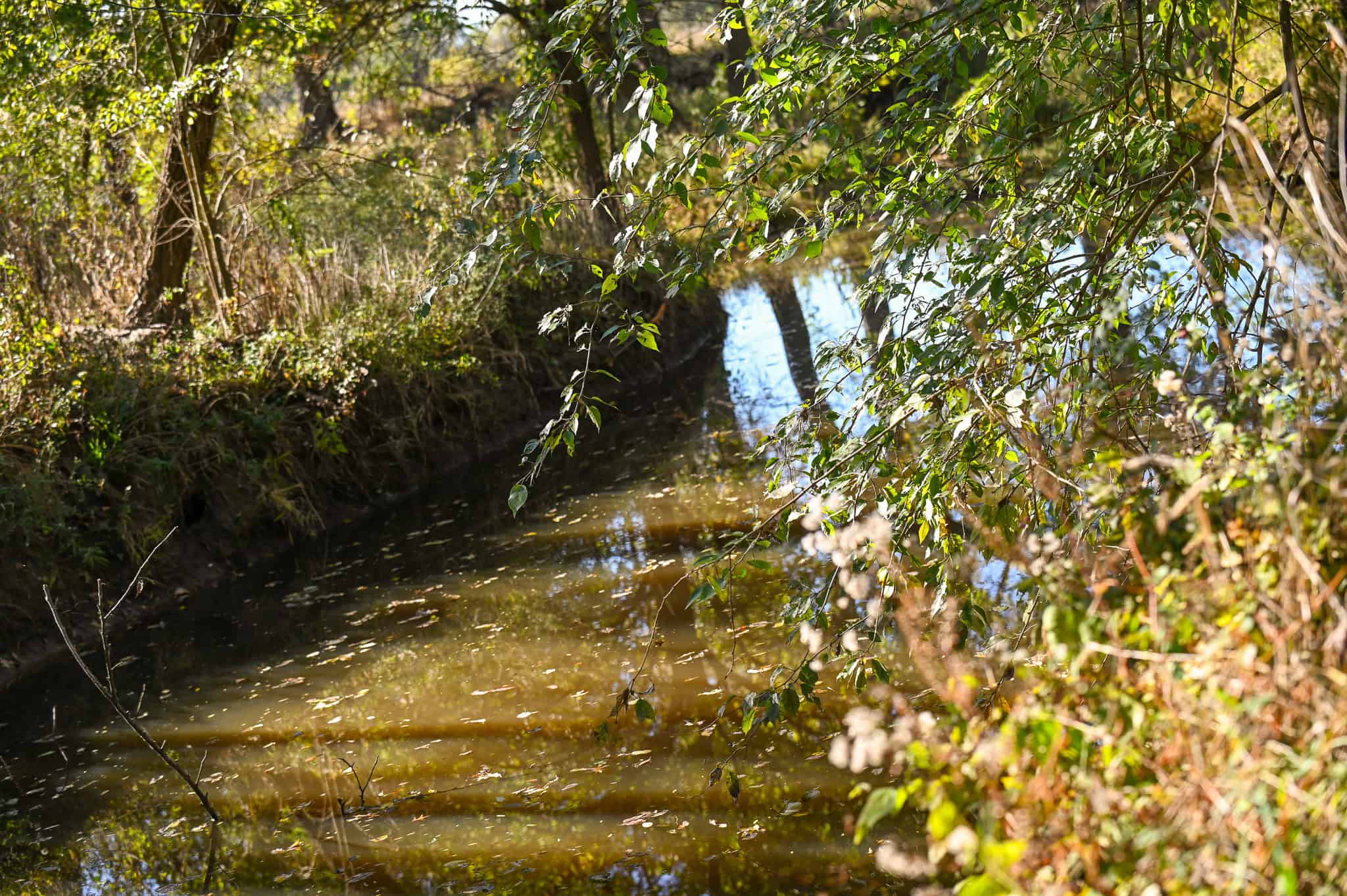 Land for Sale Barton County, MO