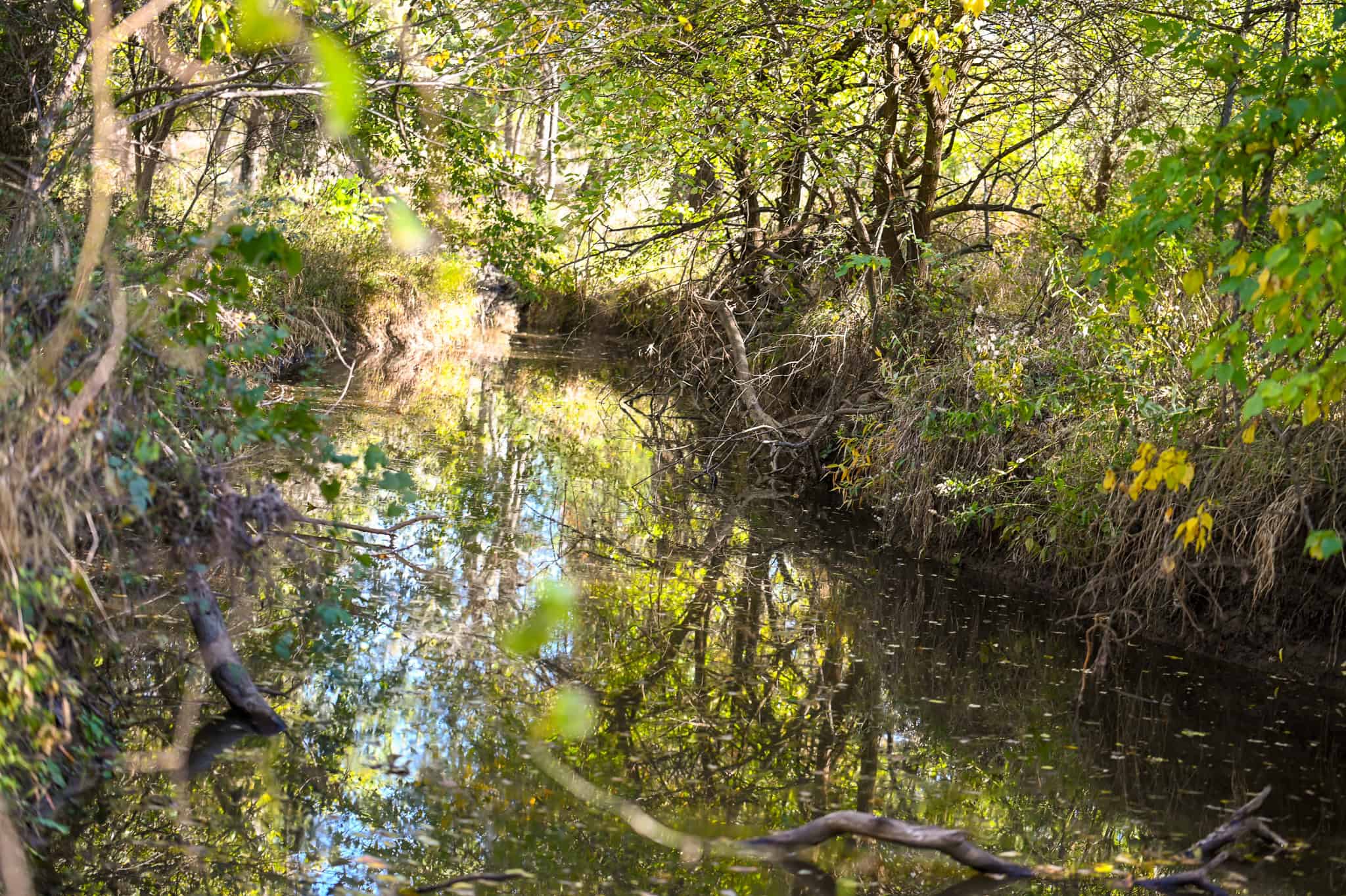 Land for Sale Barton County, MO