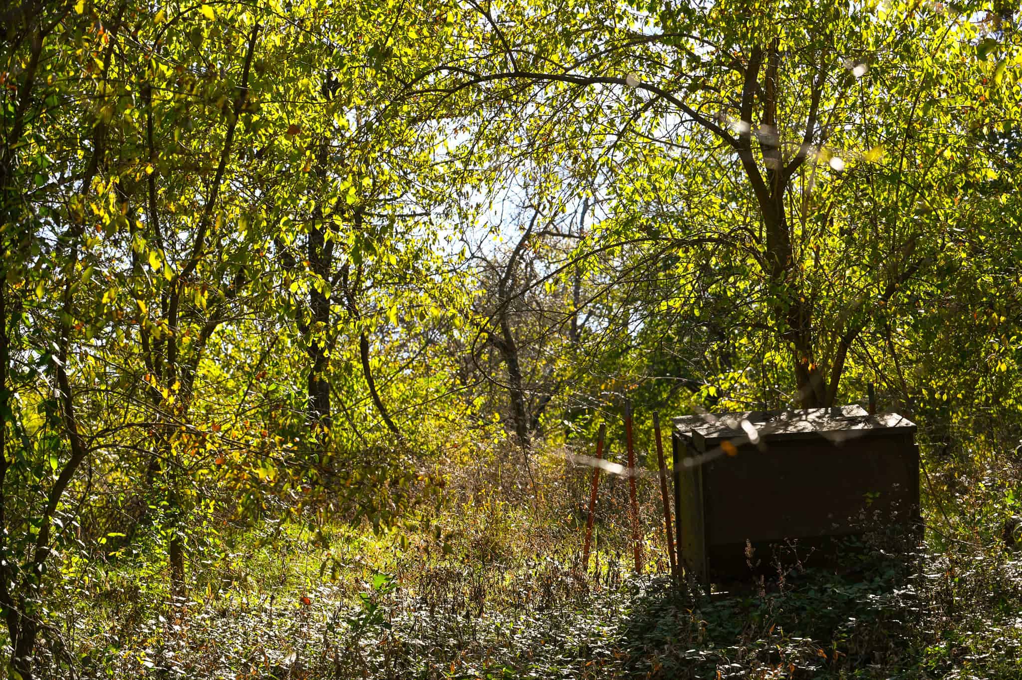 Land for Sale Barton County, MO
