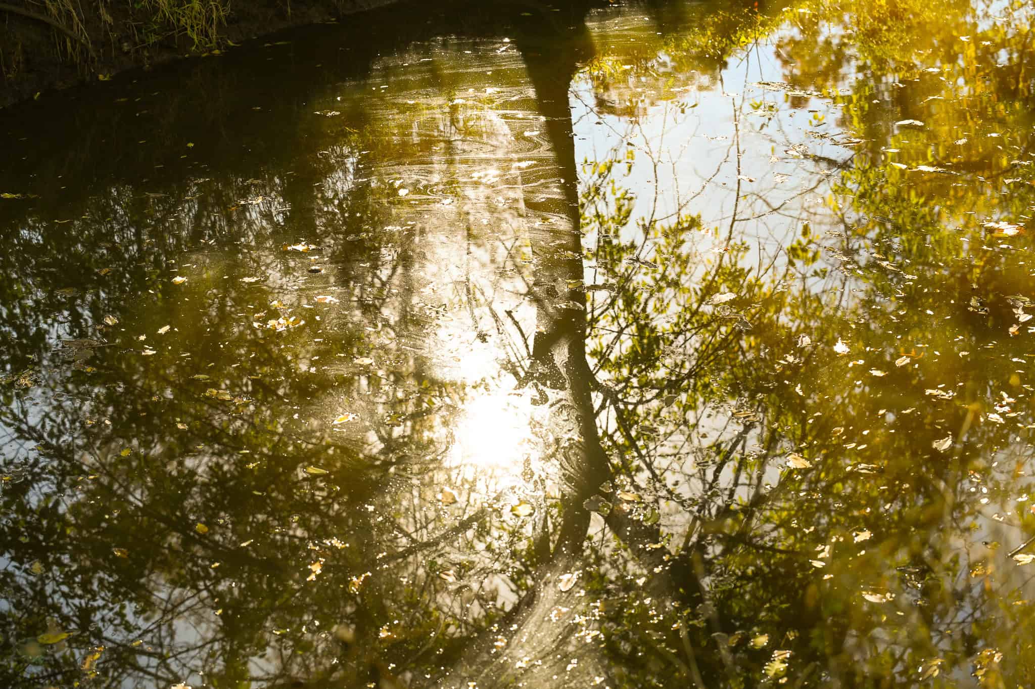 Land for Sale Barton County, MO