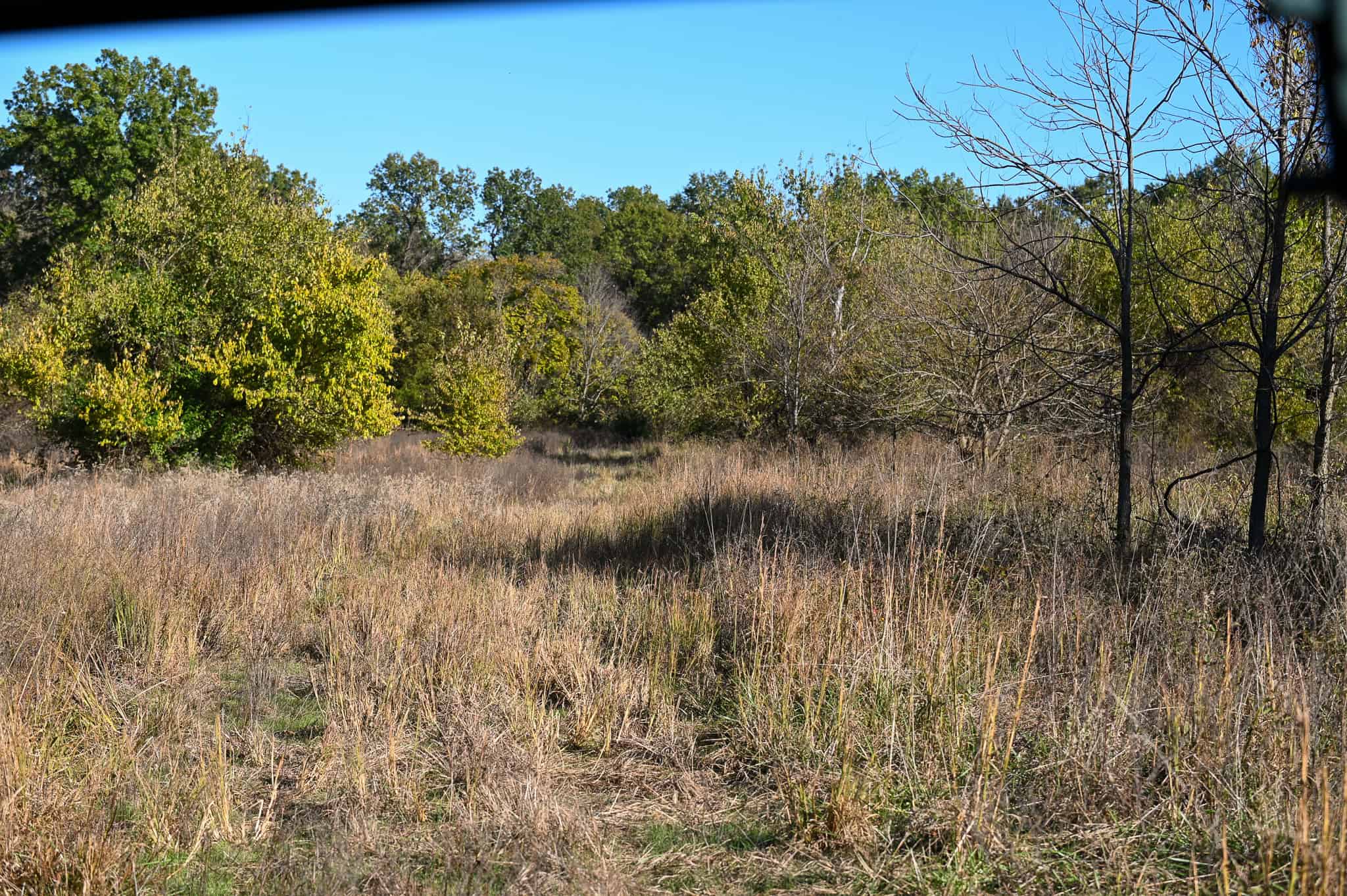 Land for Sale Barton County, MO