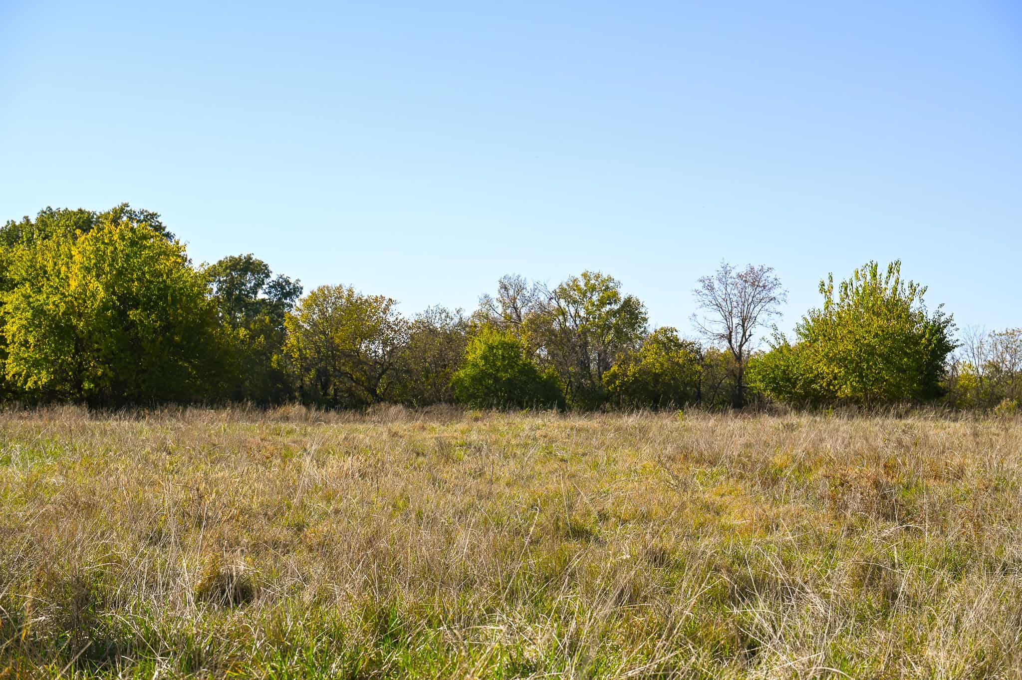 Land for Sale Barton County, MO