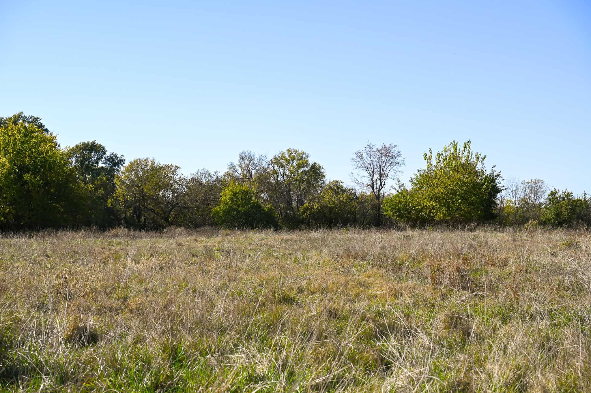 Land for Sale Barton County, MO
