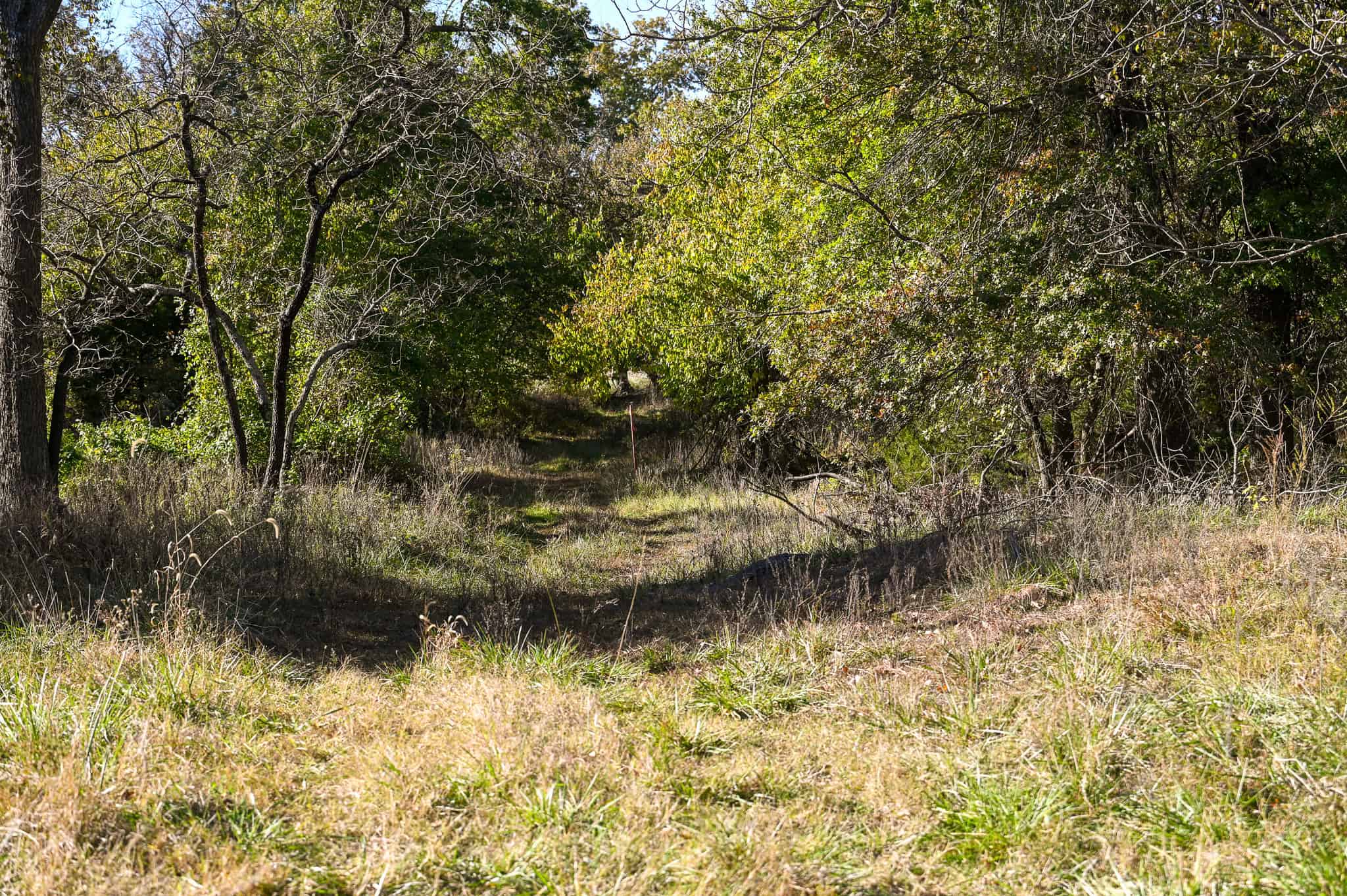 Land for Sale Barton County, MO