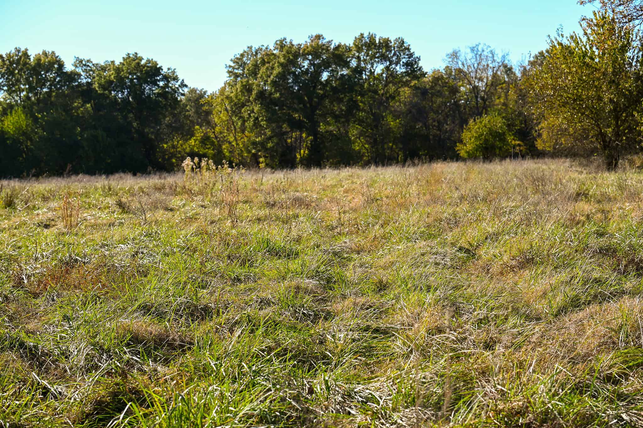 Land for Sale Barton County, MO