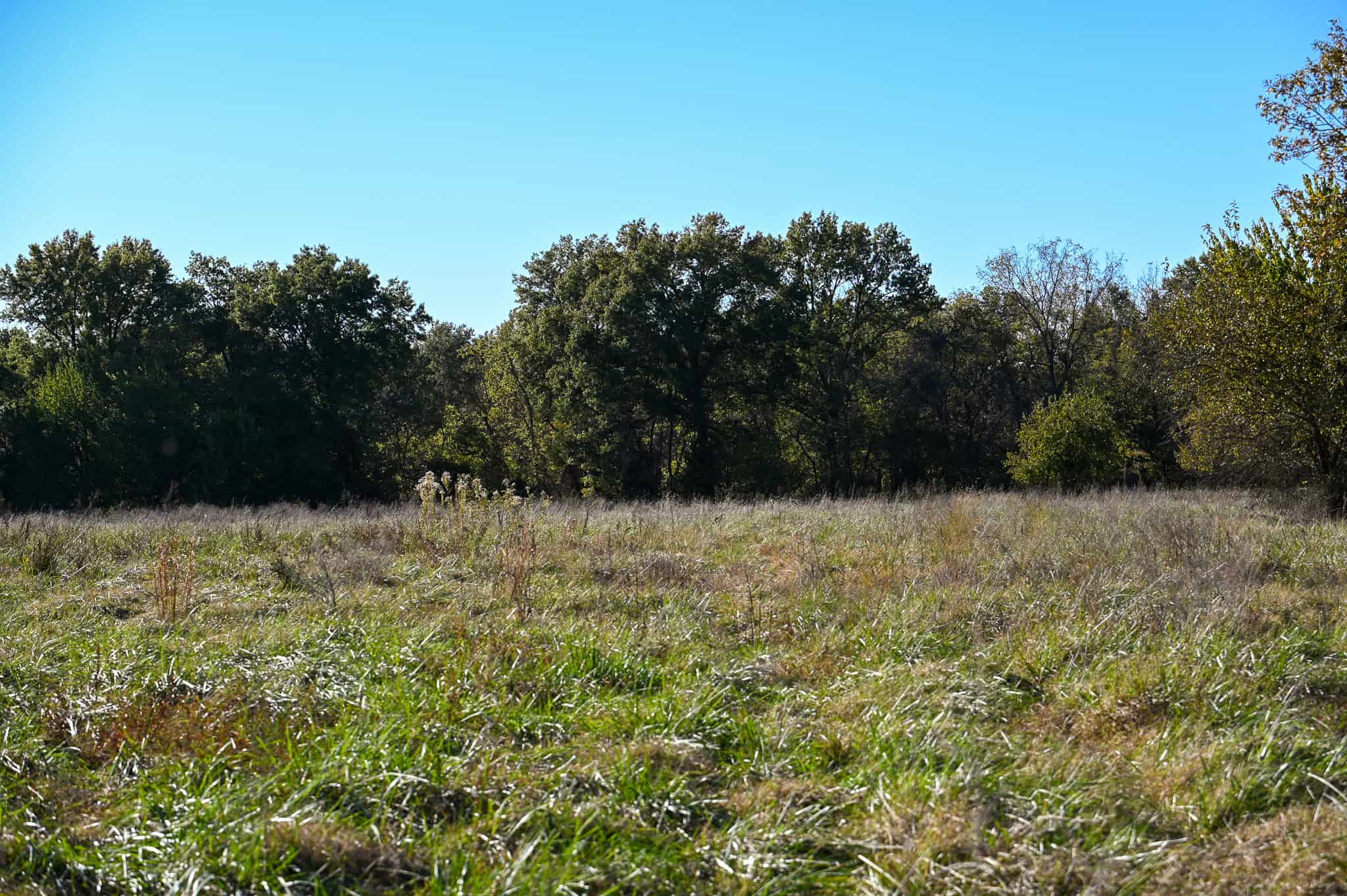 Land for Sale Barton County, MO