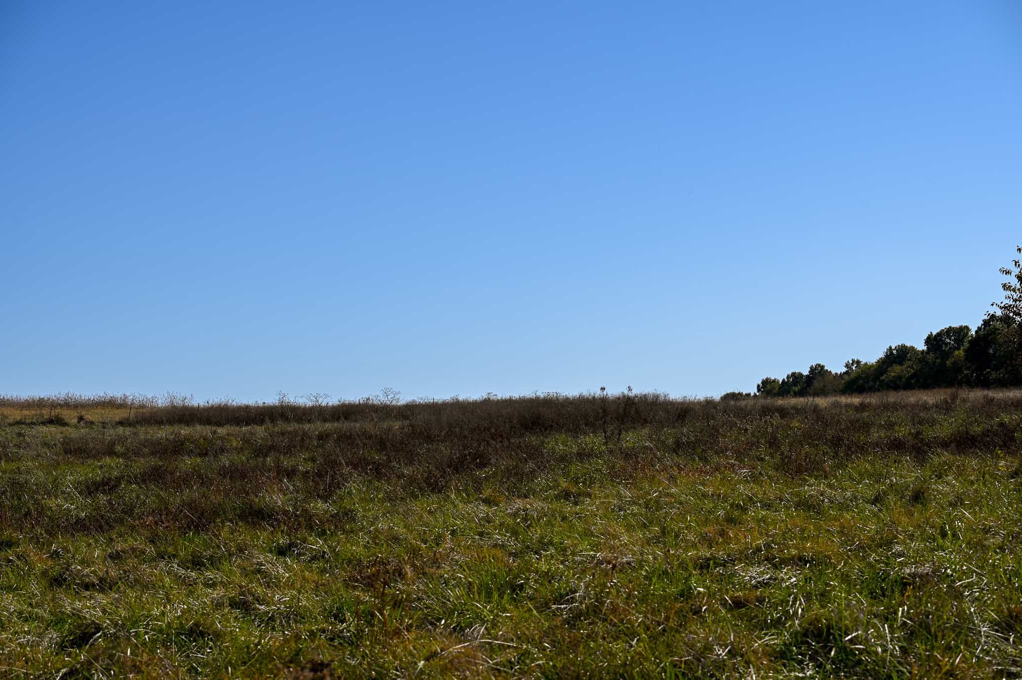 Land for Sale Barton County, MO