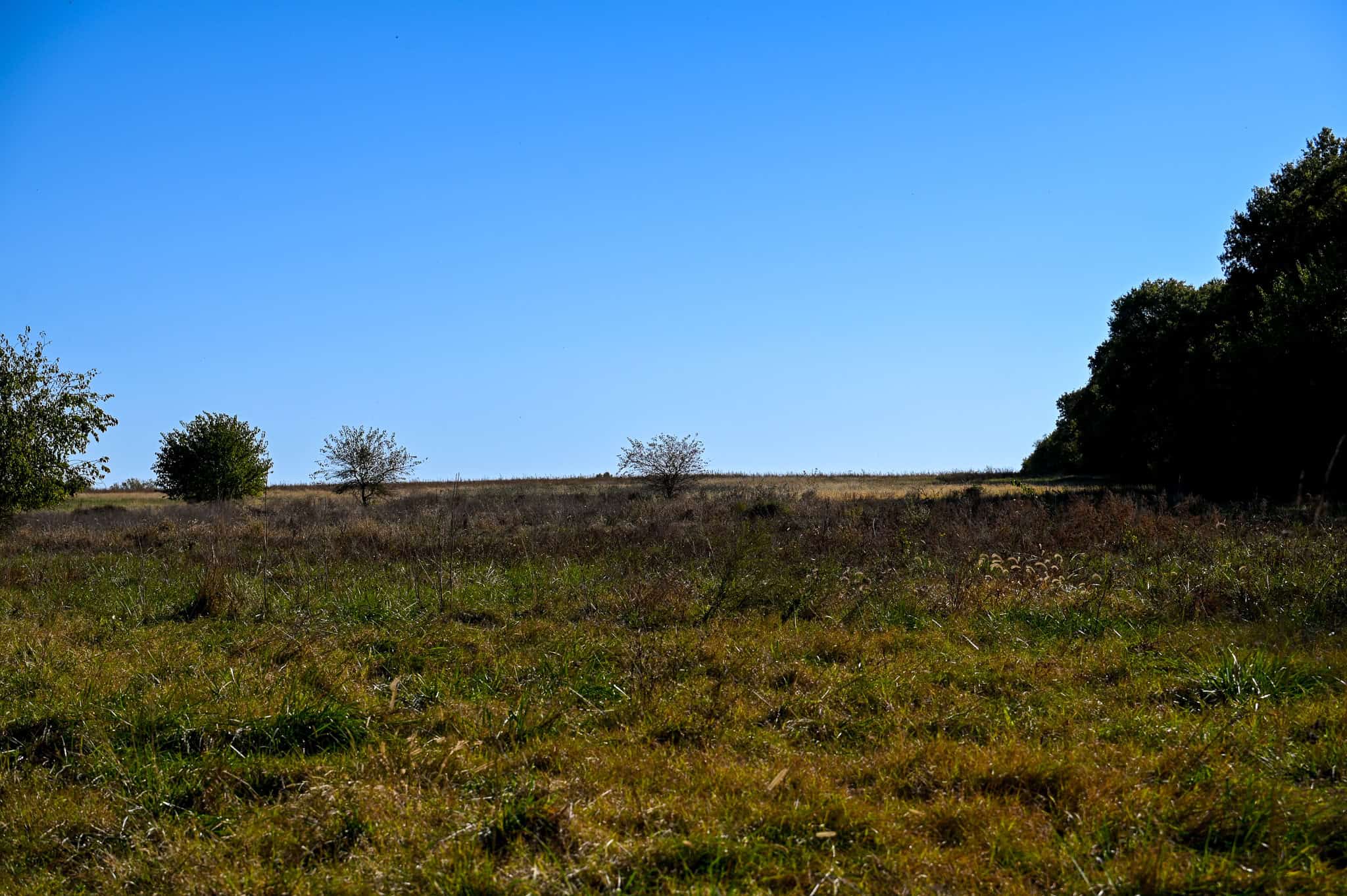 Land for Sale Barton County, MO