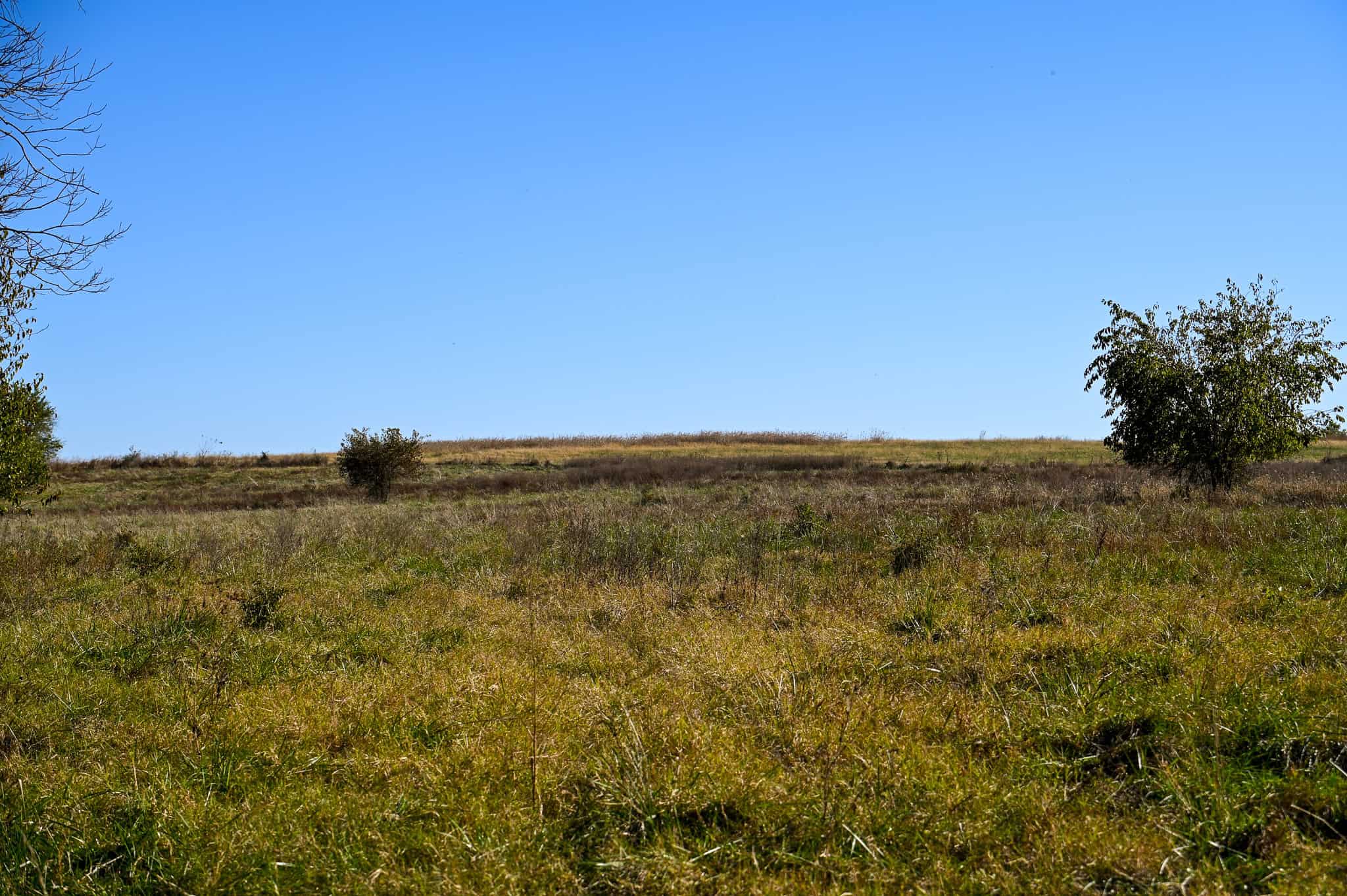Land for Sale Barton County, MO