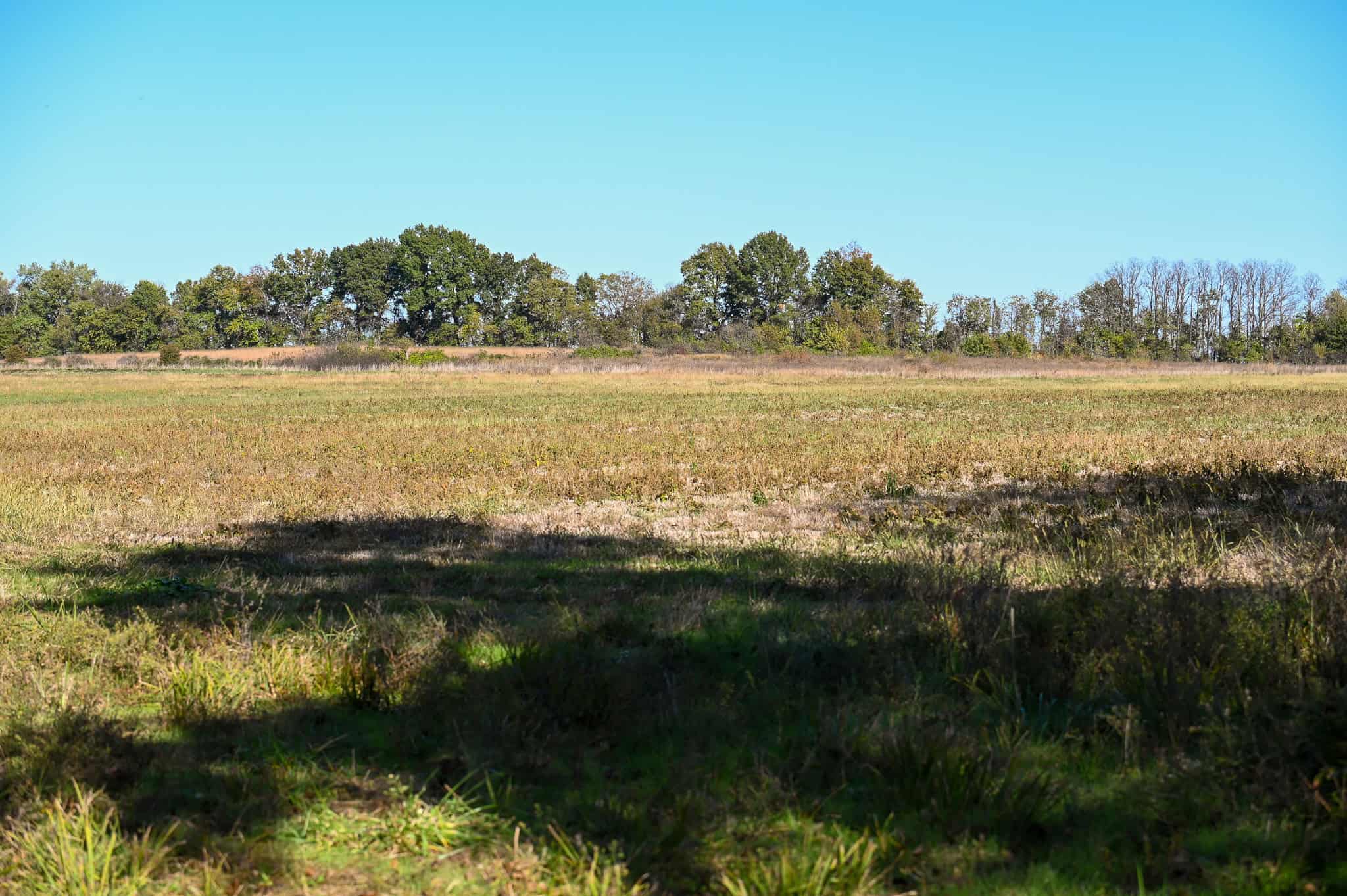 Land for Sale Barton County, MO