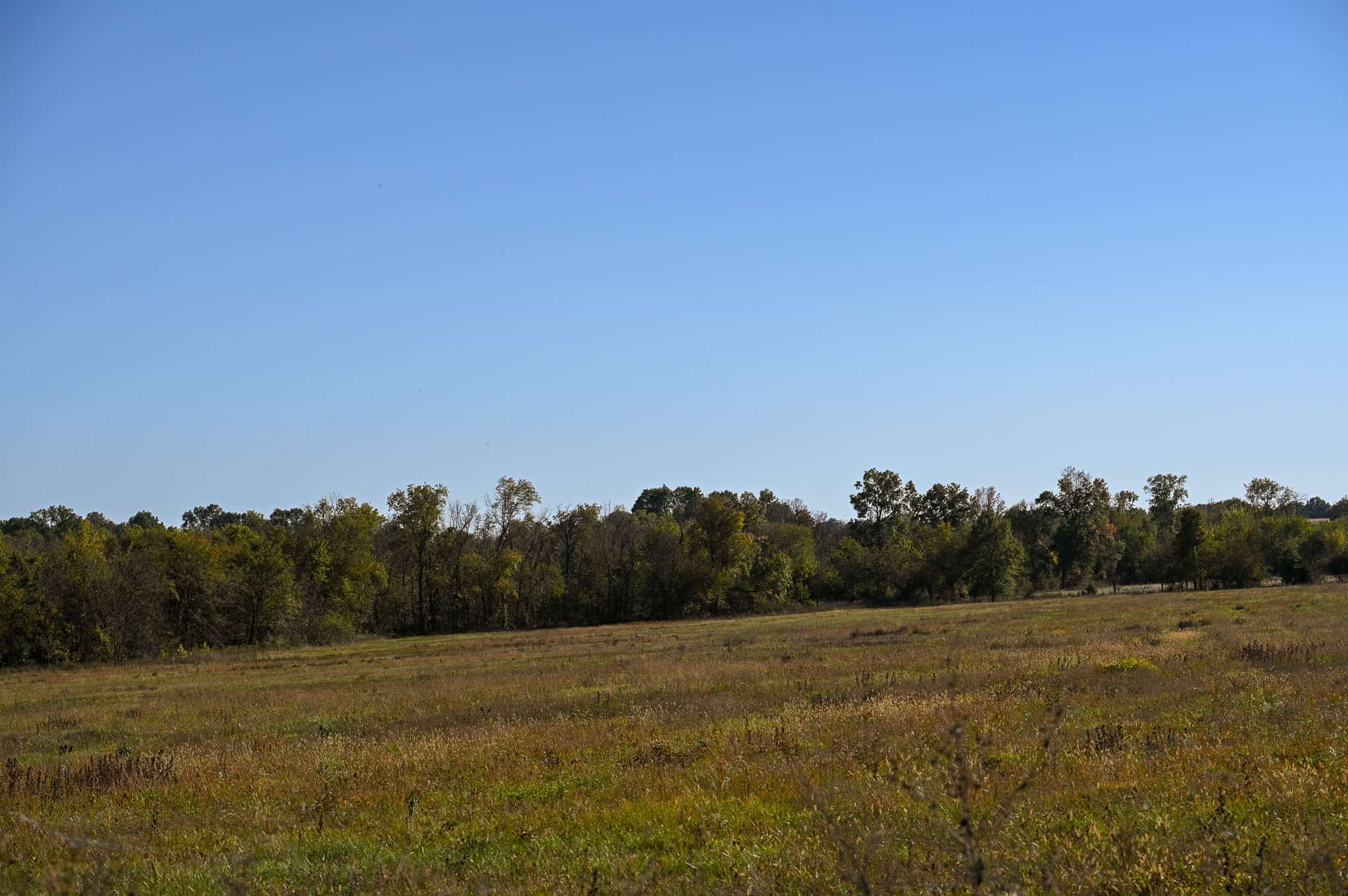 Land for Sale Barton County, MO