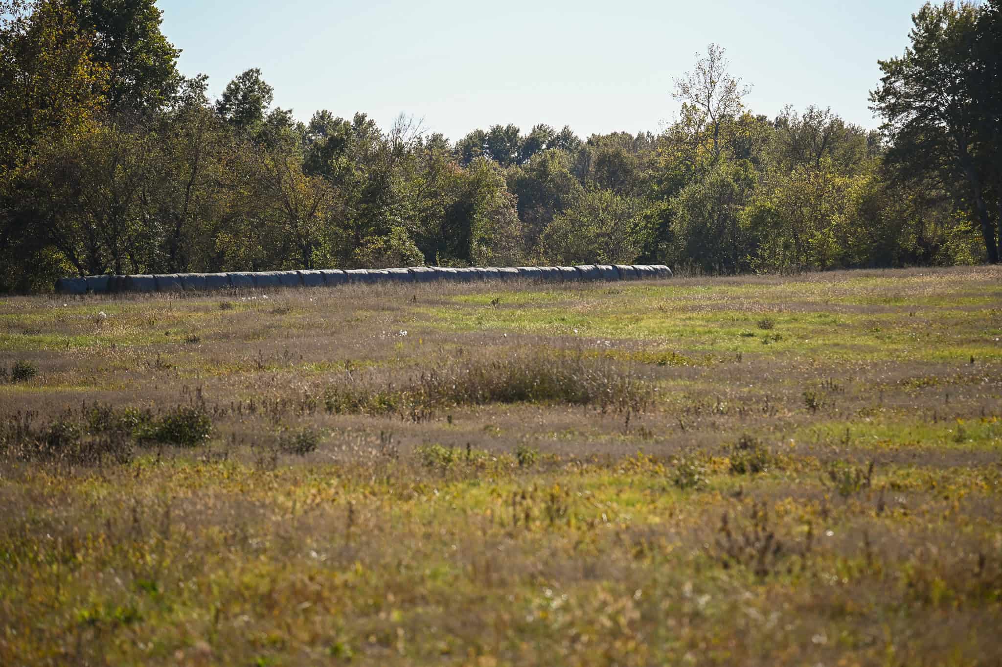 Land for Sale Barton County, MO