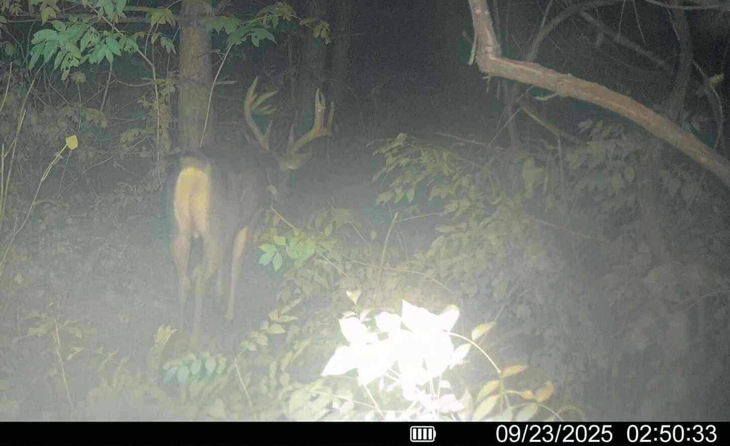 Windy Ridge – Conservation Homestead – 187 ± Acres in Monroe County’s Driftless Area of Wisconsin