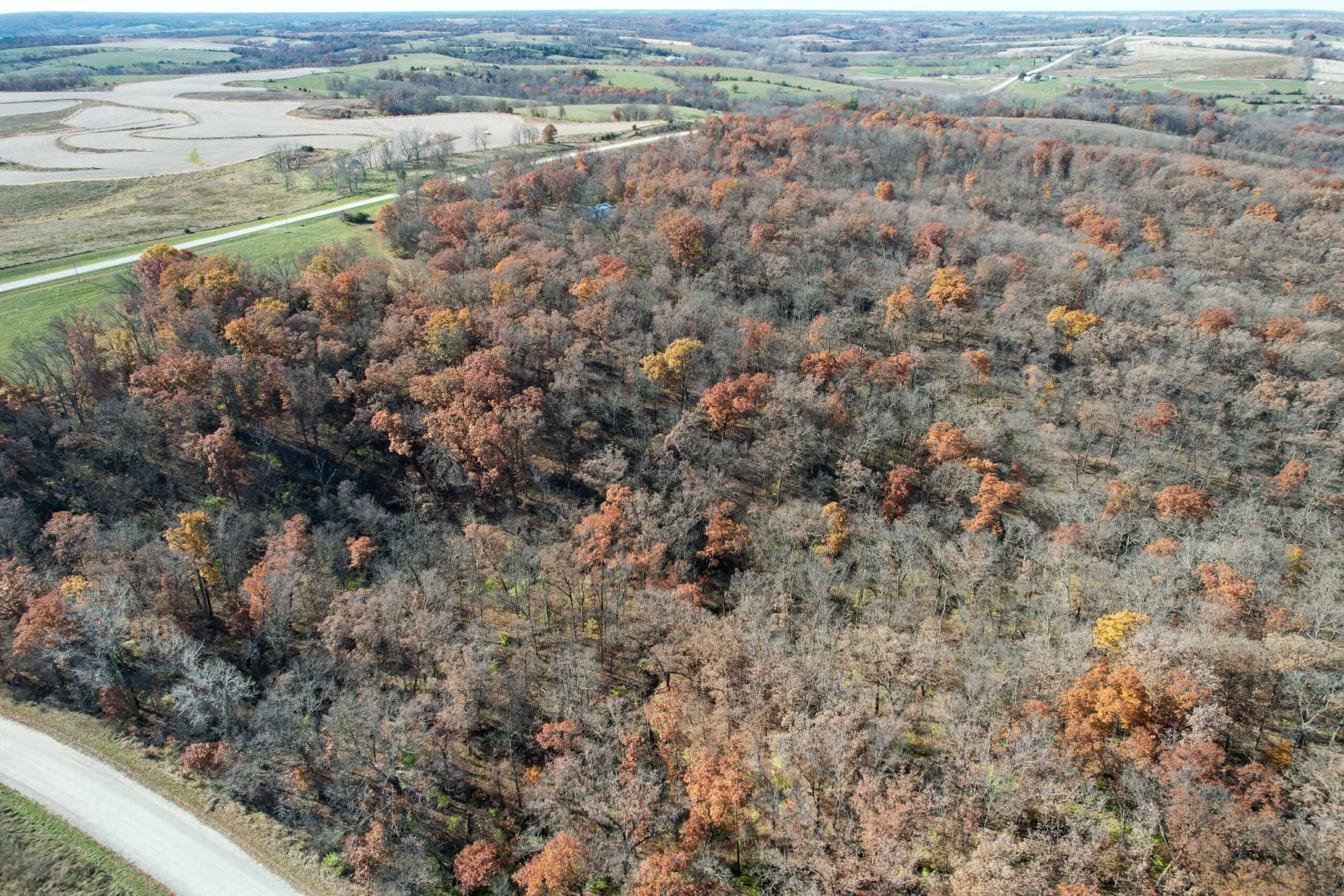 Hard-to-Find Southern Iowa Recreational Acreage