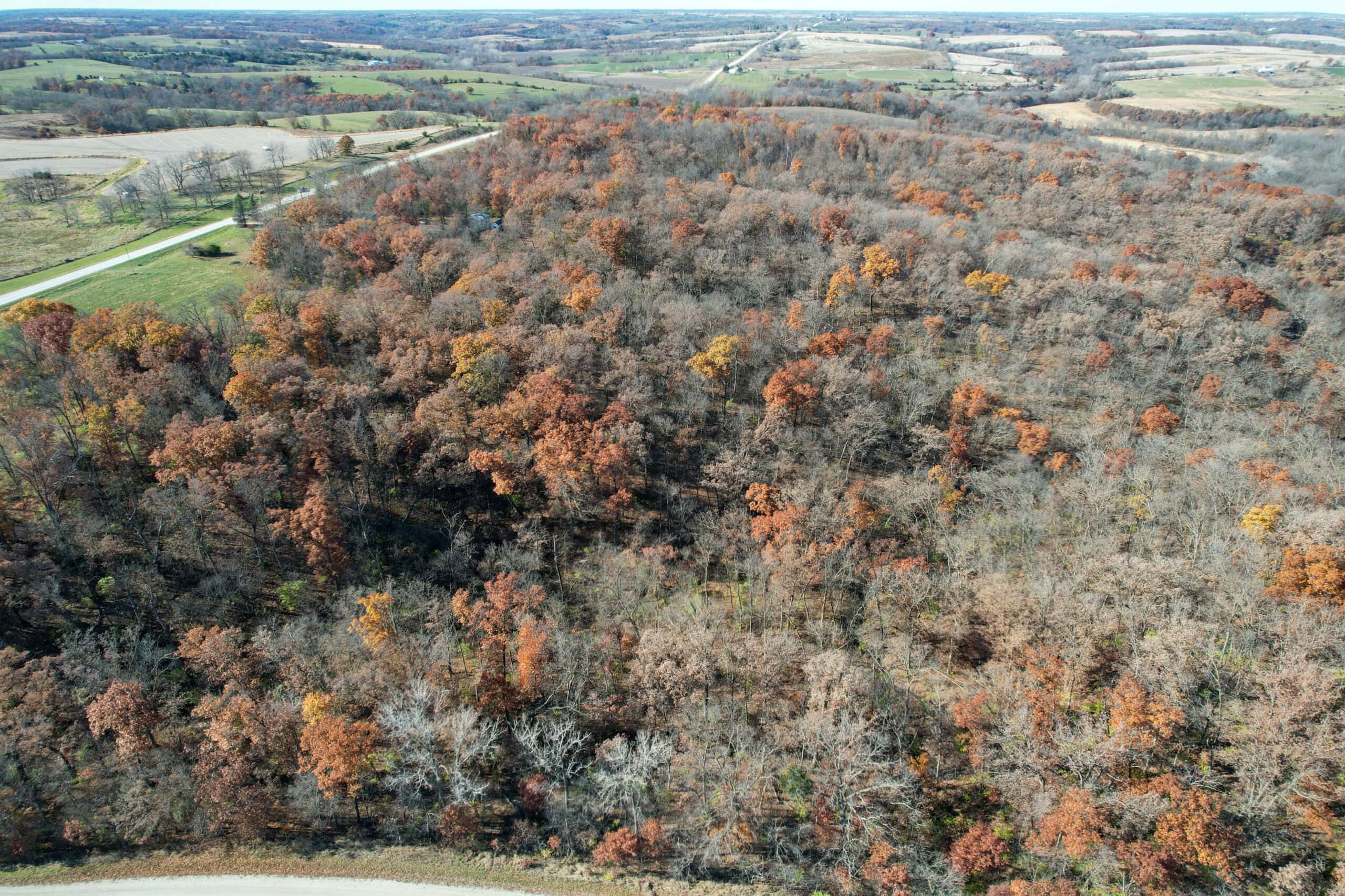 Hard-to-Find Southern Iowa Recreational Acreage