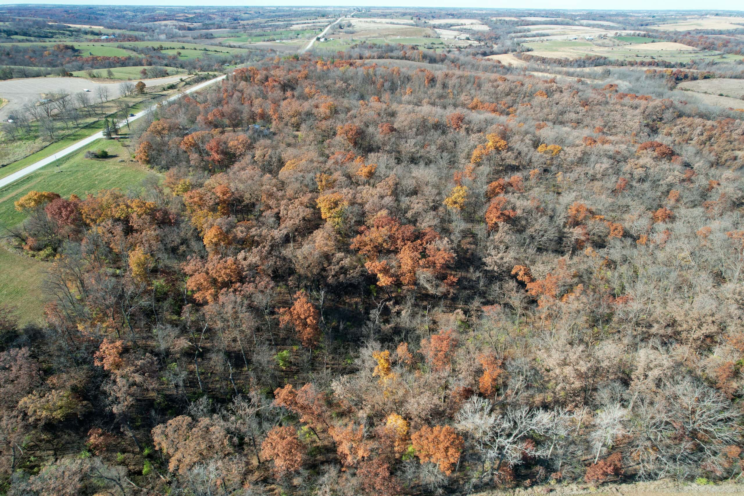 Hard-to-Find Southern Iowa Recreational Acreage