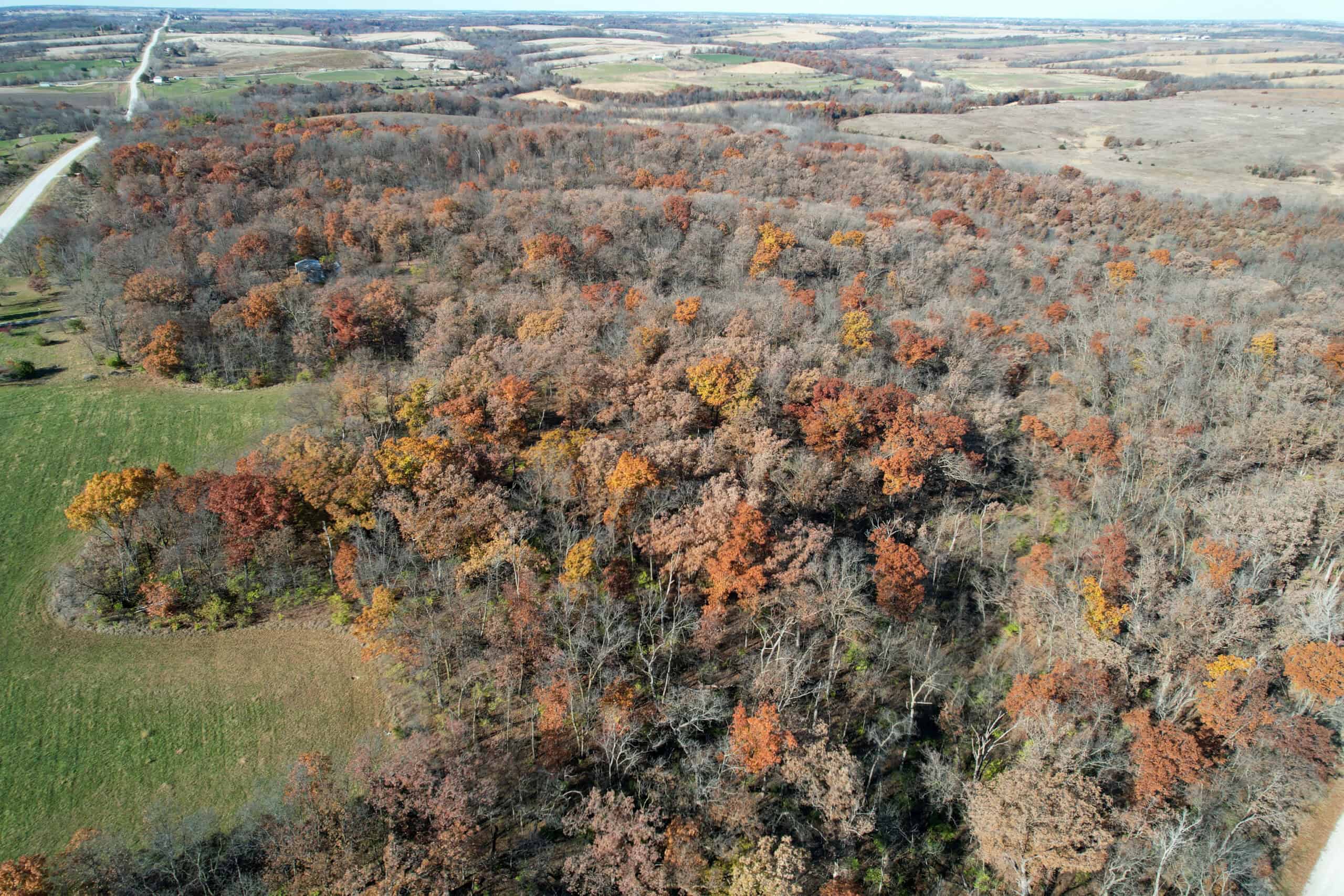 Hard-to-Find Southern Iowa Recreational Acreage
