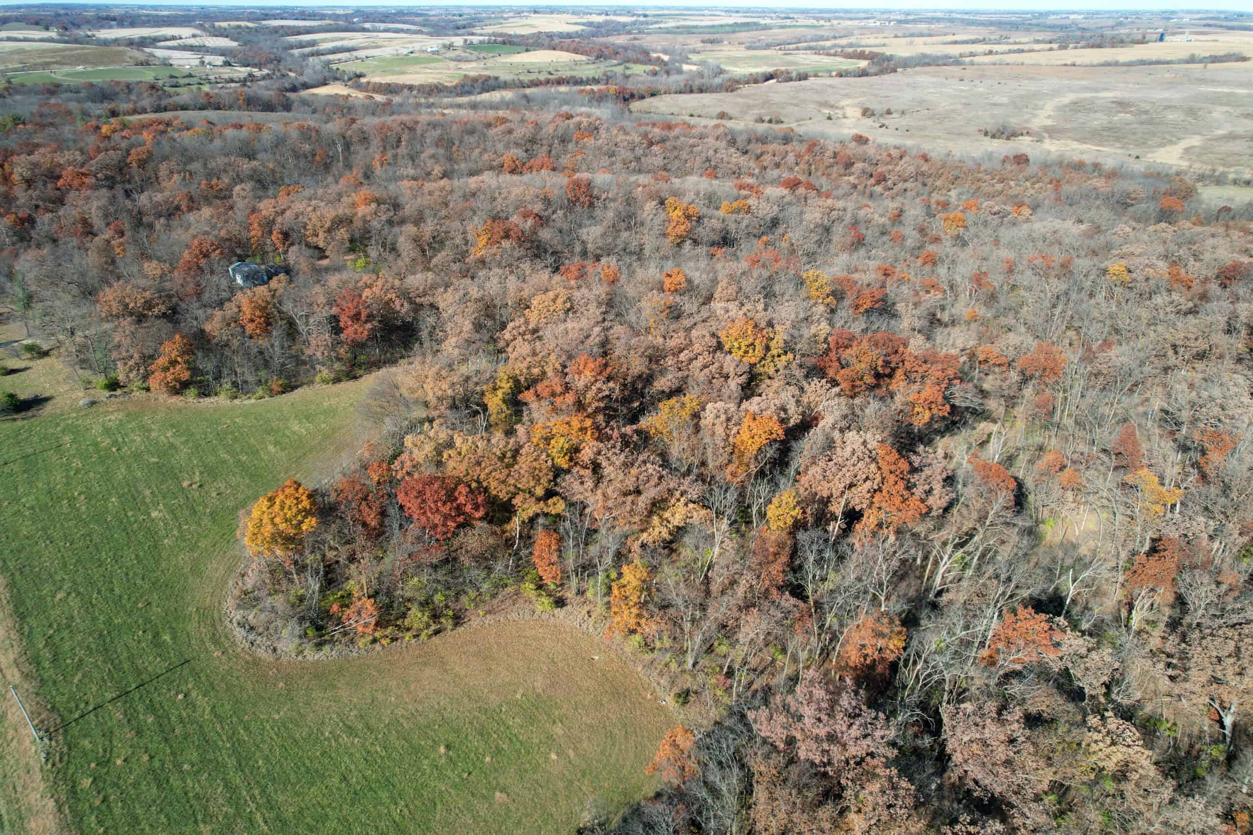 Hard-to-Find Southern Iowa Recreational Acreage