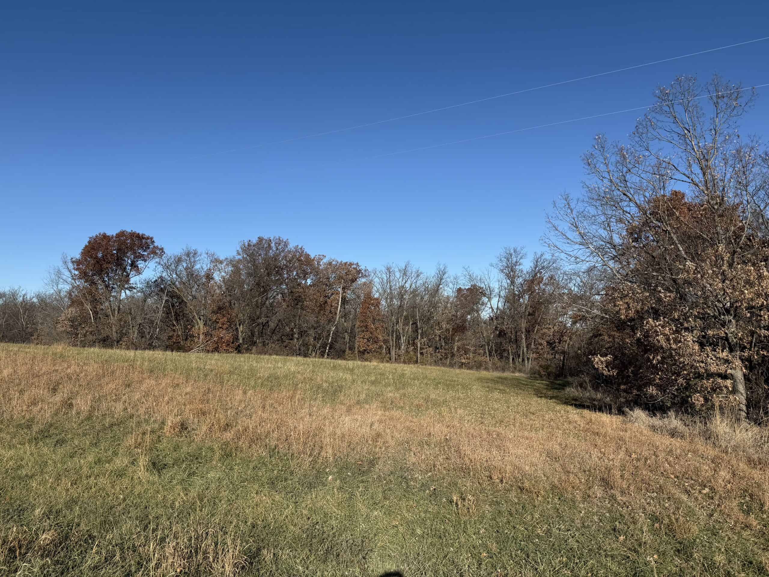 Hard-to-Find Southern Iowa Recreational Acreage