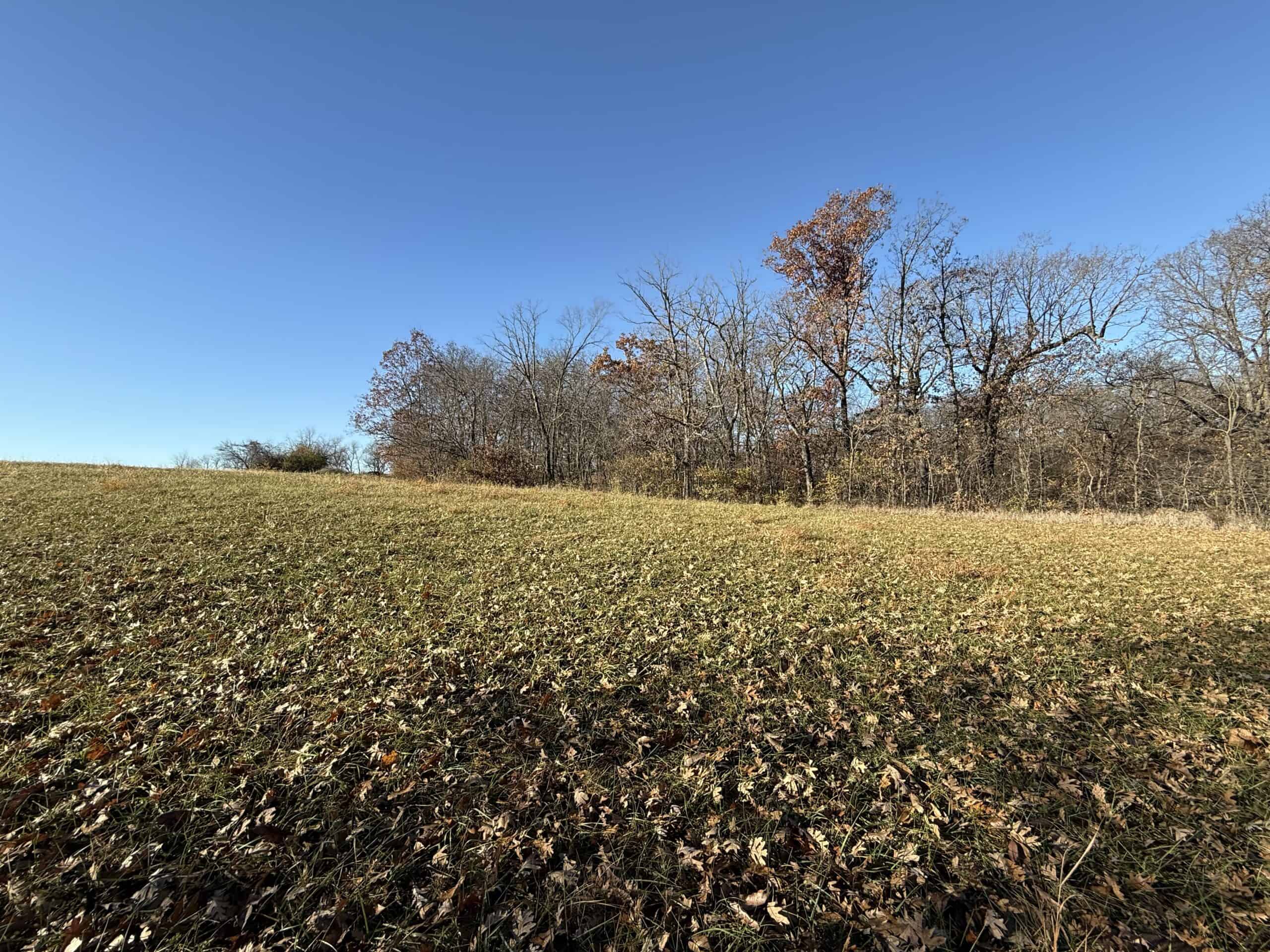 Hard-to-Find Southern Iowa Recreational Acreage