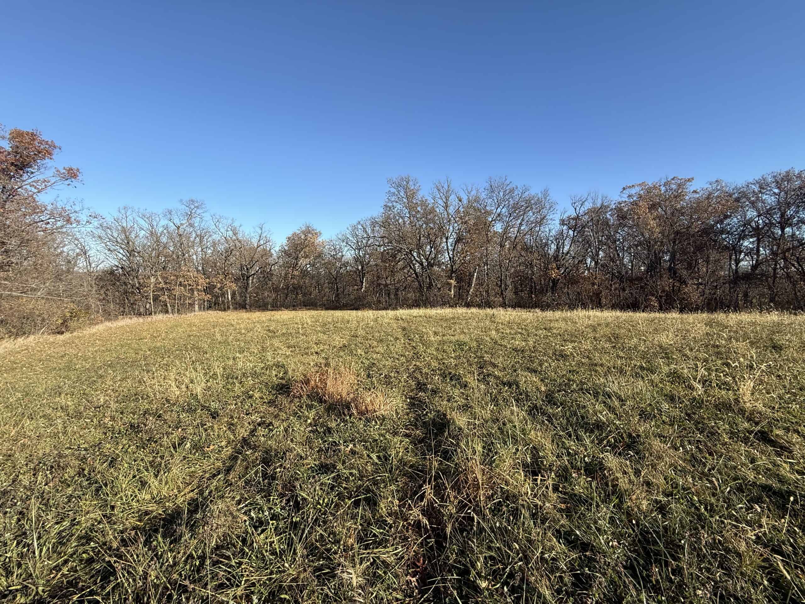 Hard-to-Find Southern Iowa Recreational Acreage