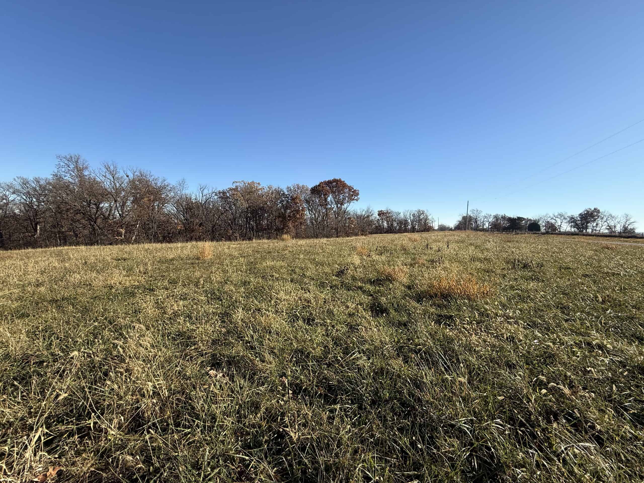 Hard-to-Find Southern Iowa Recreational Acreage
