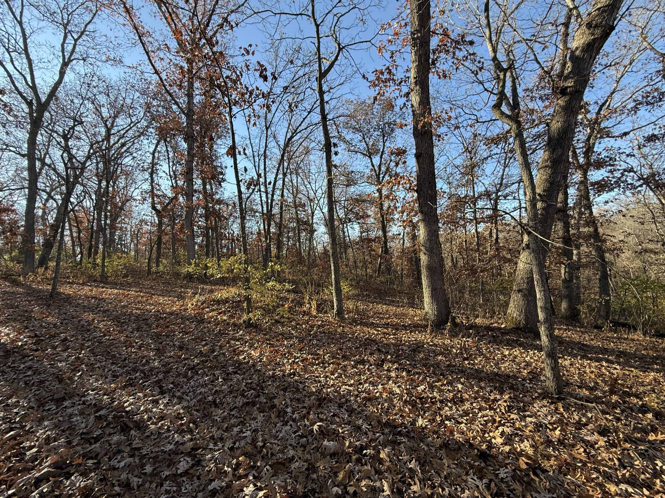 Hard-to-Find Southern Iowa Recreational Acreage
