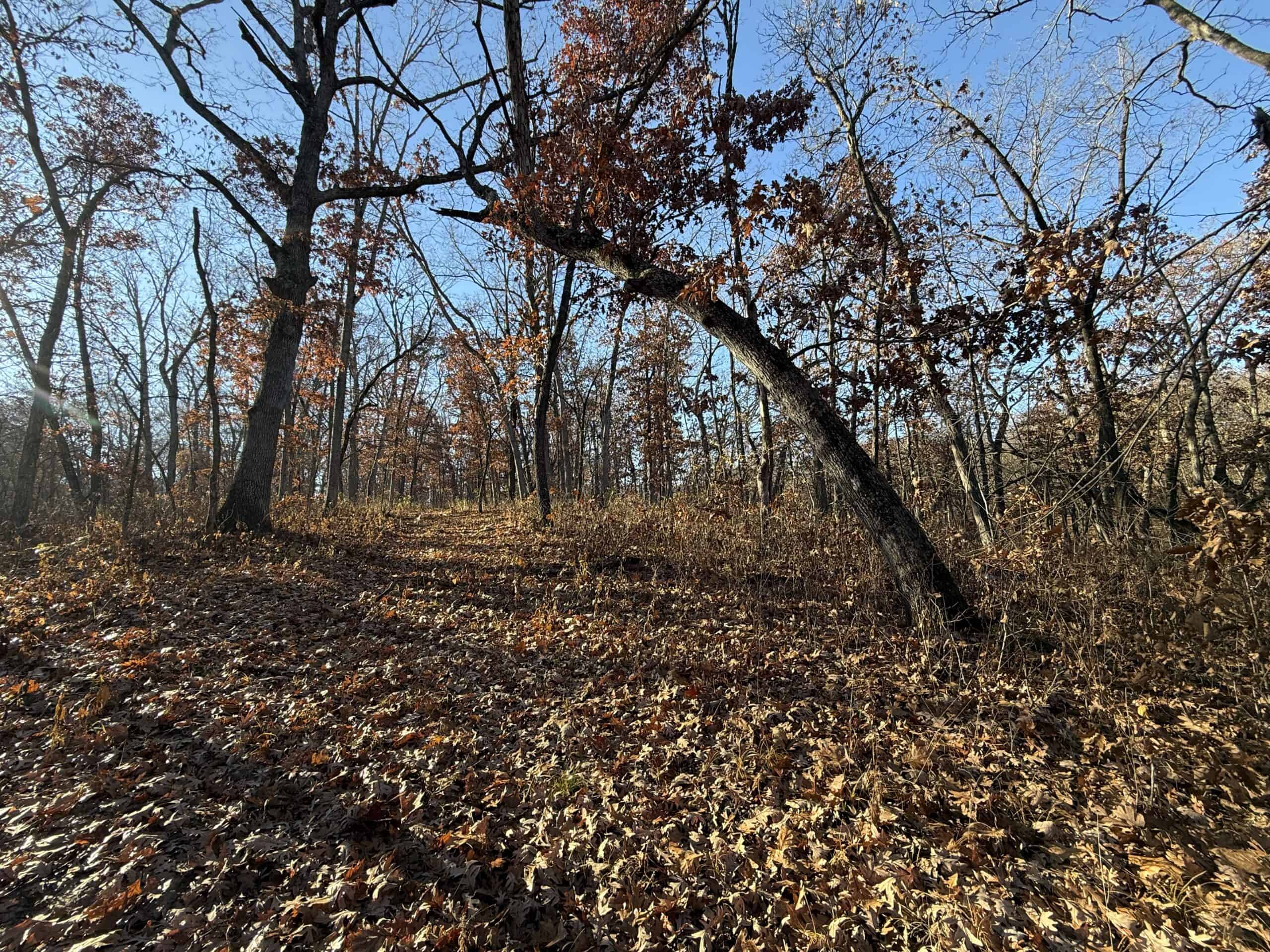Hard-to-Find Southern Iowa Recreational Acreage
