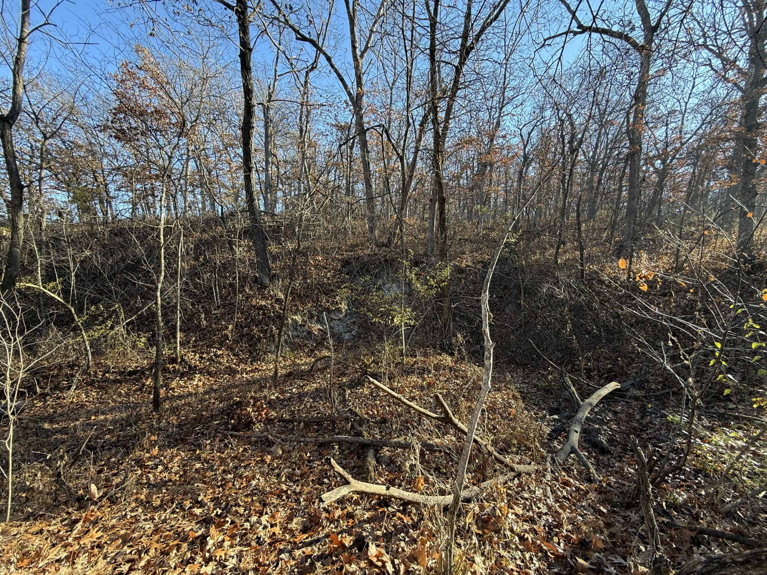 Hard-to-Find Southern Iowa Recreational Acreage