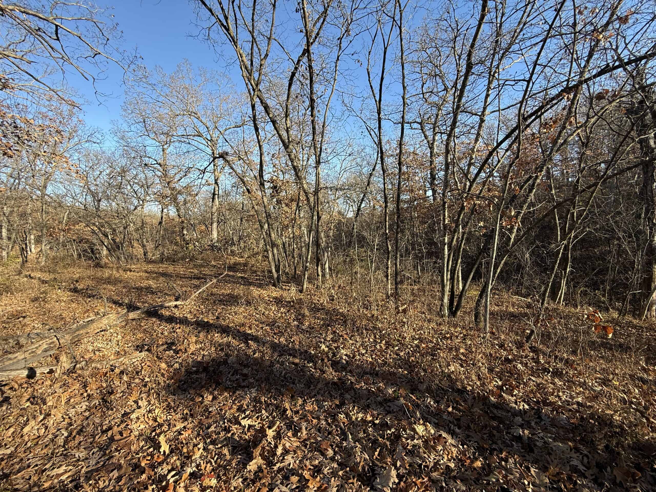 Hard-to-Find Southern Iowa Recreational Acreage