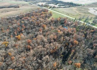 Hard-to-Find Southern Iowa Recreational Acreage