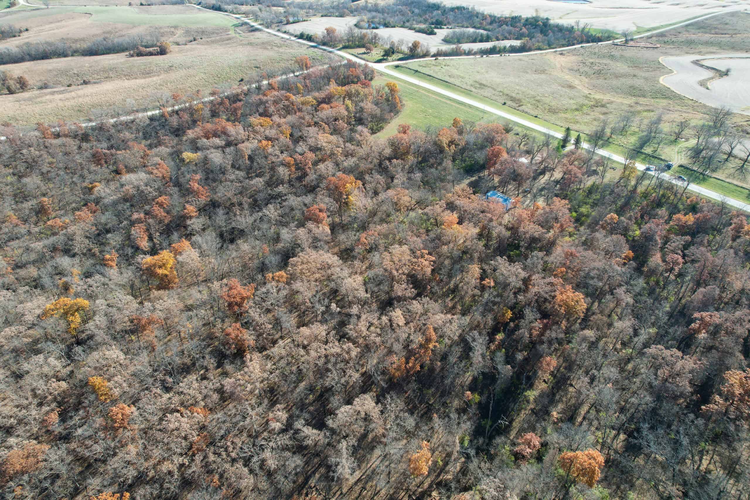 Hard-to-Find Southern Iowa Recreational Acreage