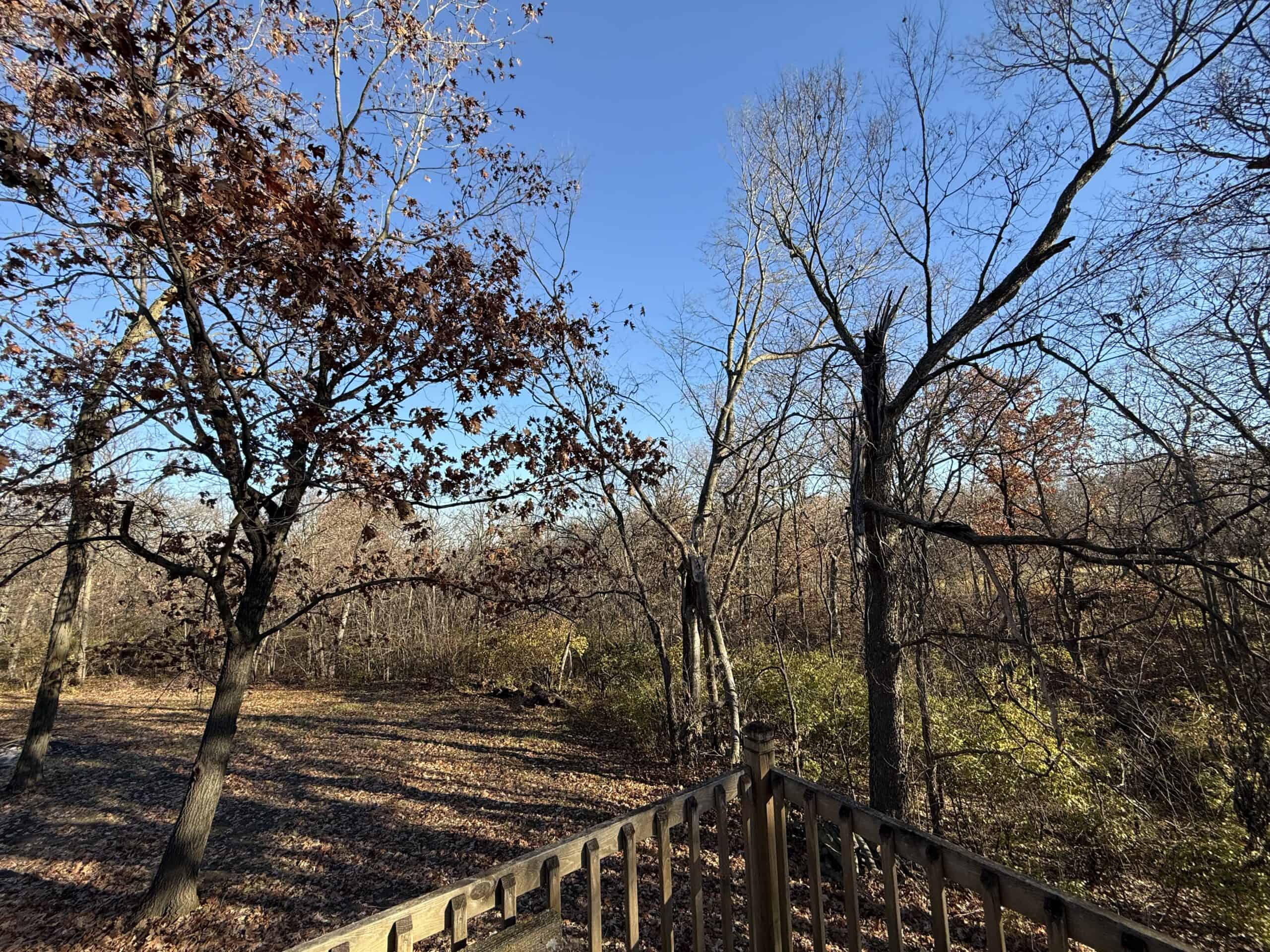 Hard-to-Find Southern Iowa Recreational Acreage