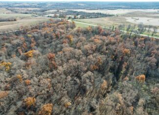 Hard-to-Find Southern Iowa Recreational Acreage