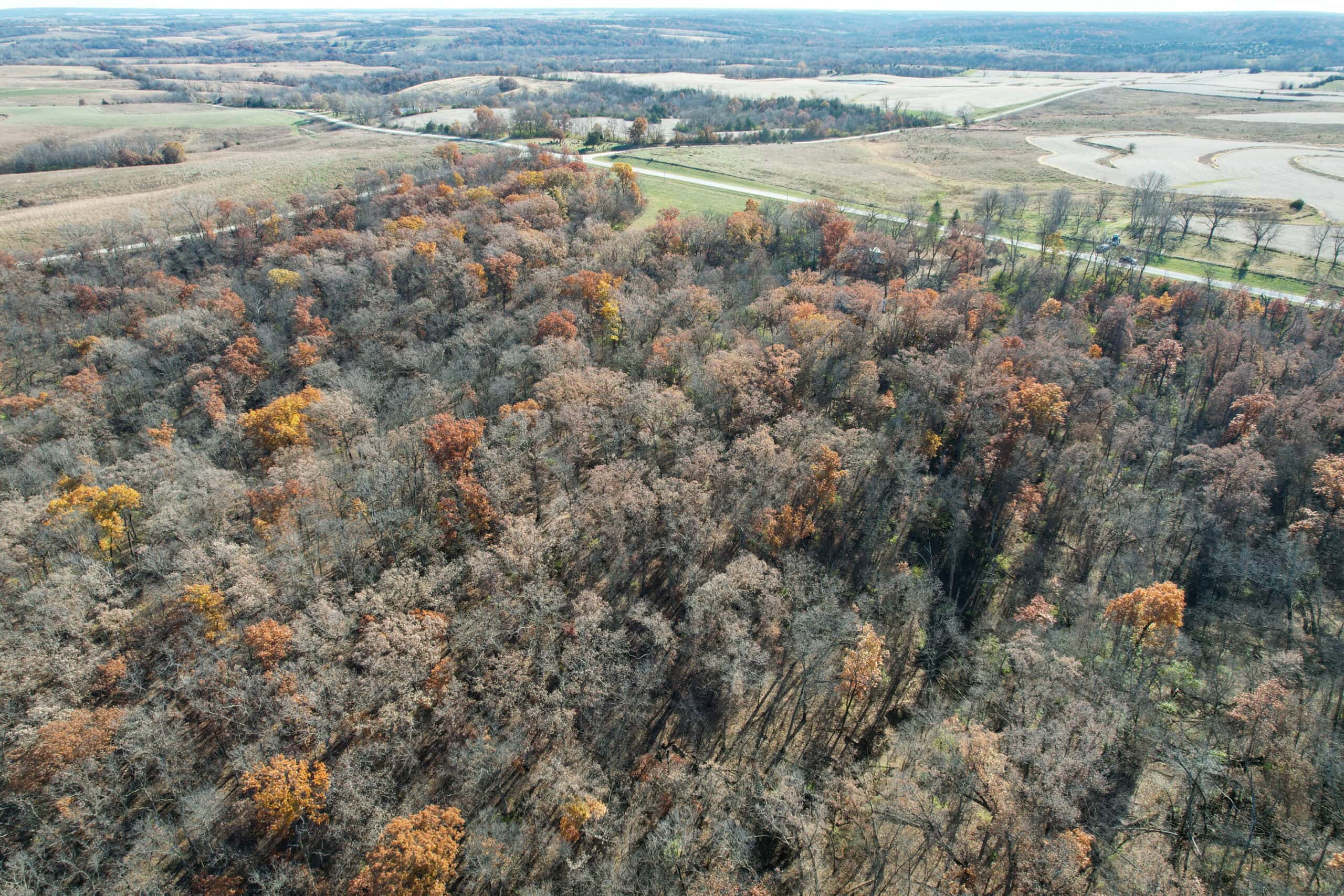 Hard-to-Find Southern Iowa Recreational Acreage
