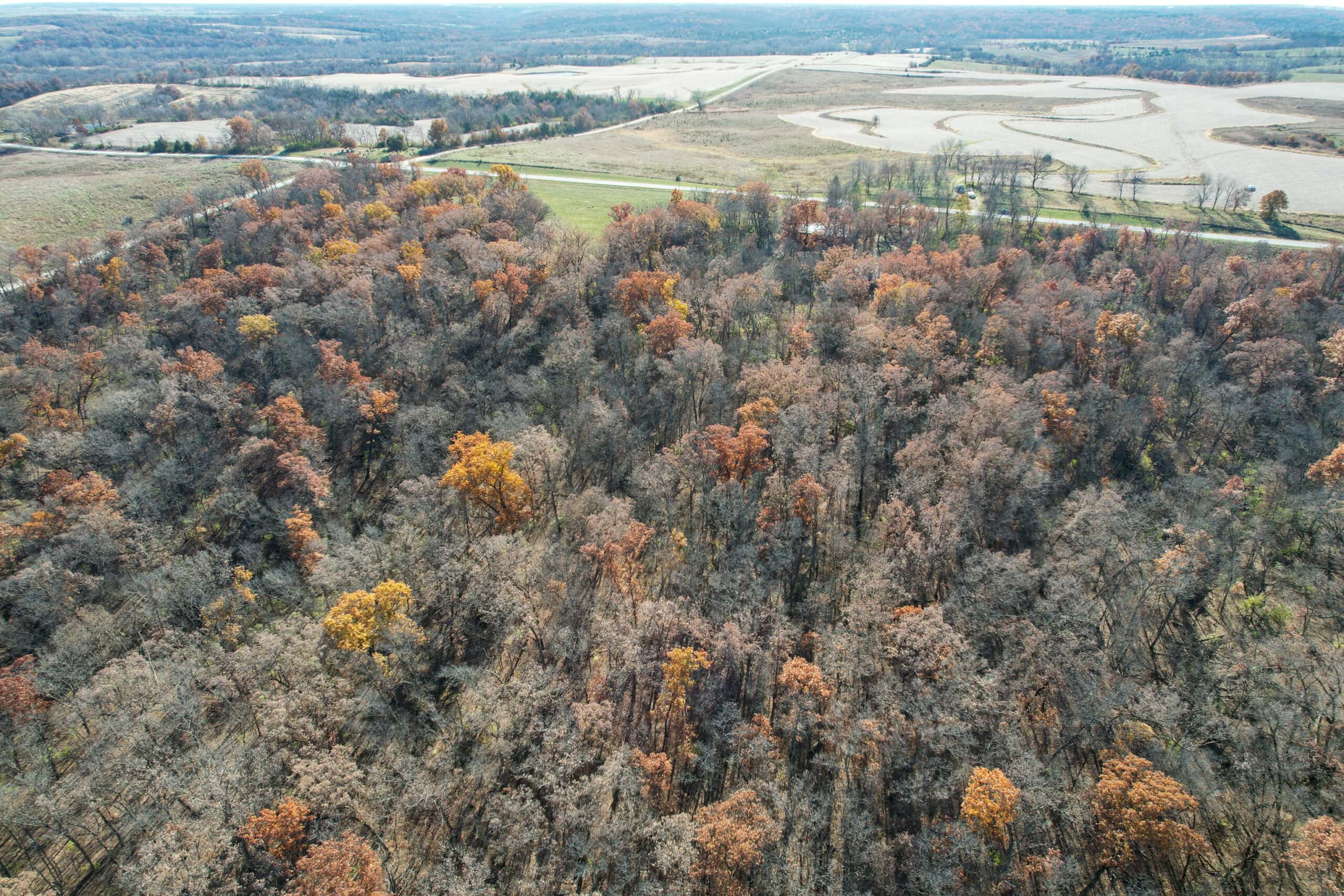 Hard-to-Find Southern Iowa Recreational Acreage