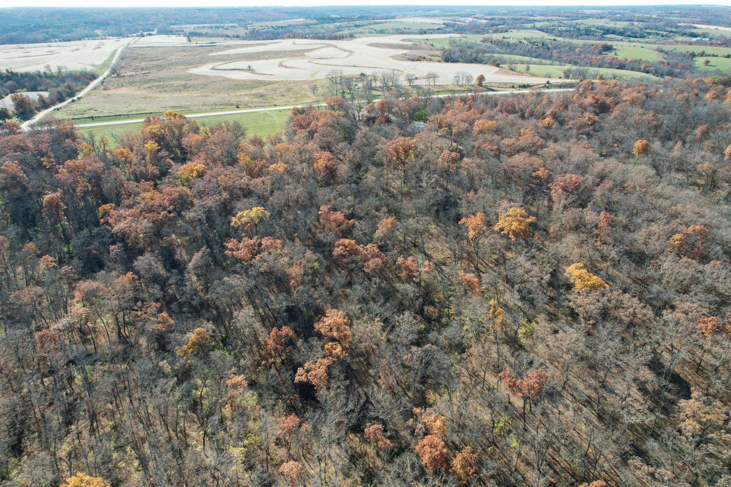 Hard-to-Find Southern Iowa Recreational Acreage