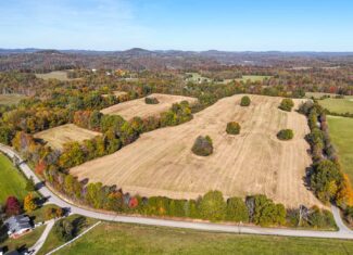 65-Acre Farm in Science Hill, KY – Cropland, Pasture & Hunting