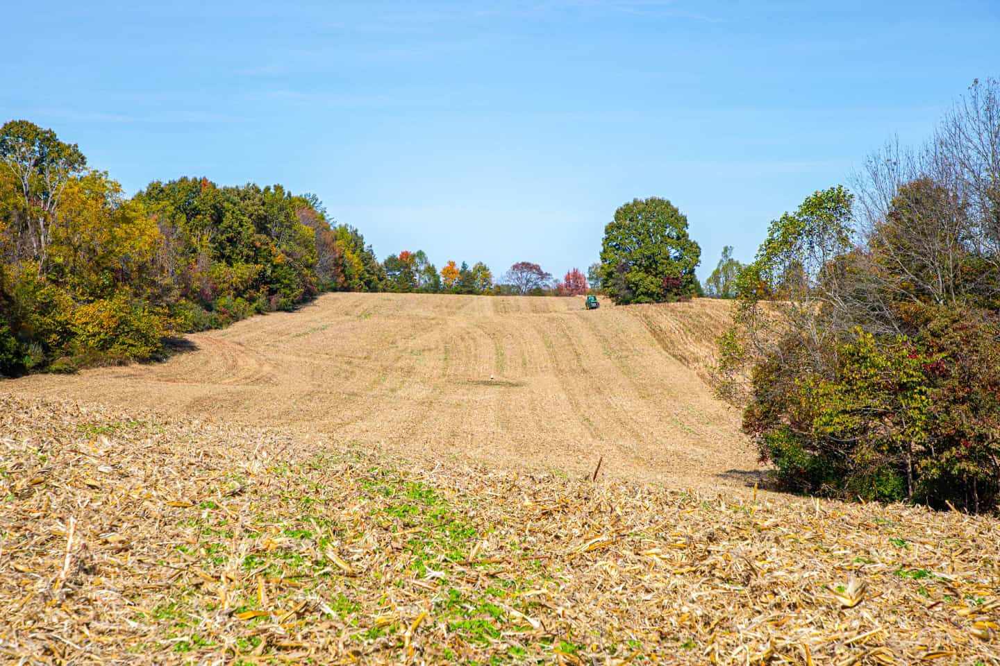 65-Acre Farm in Science Hill, KY – Cropland, Pasture & Hunting