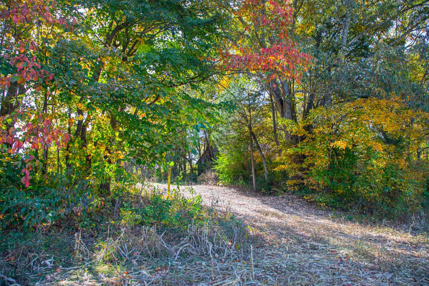 65-Acre Farm in Science Hill, KY – Cropland, Pasture & Hunting