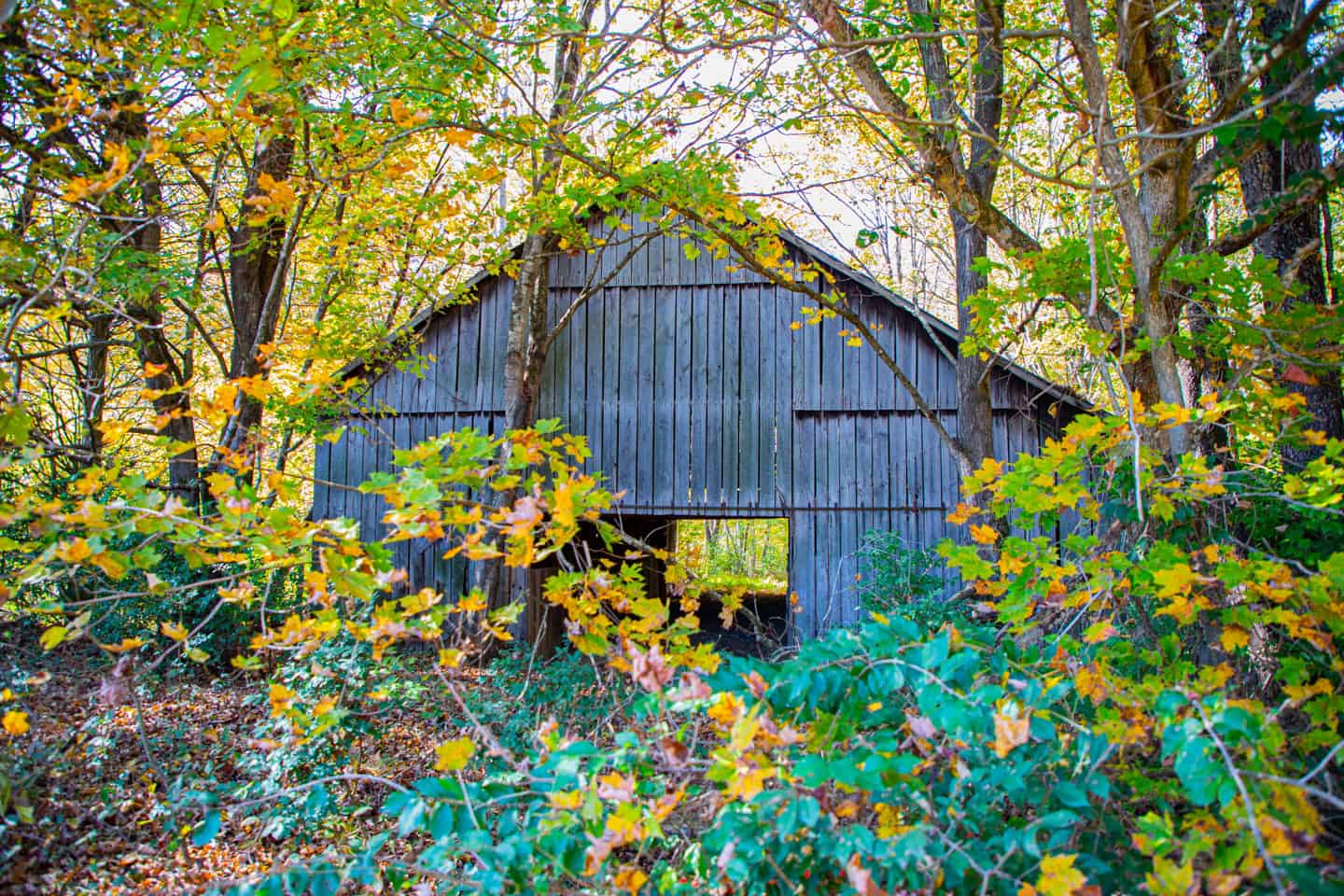 65-Acre Farm in Science Hill, KY – Cropland, Pasture & Hunting