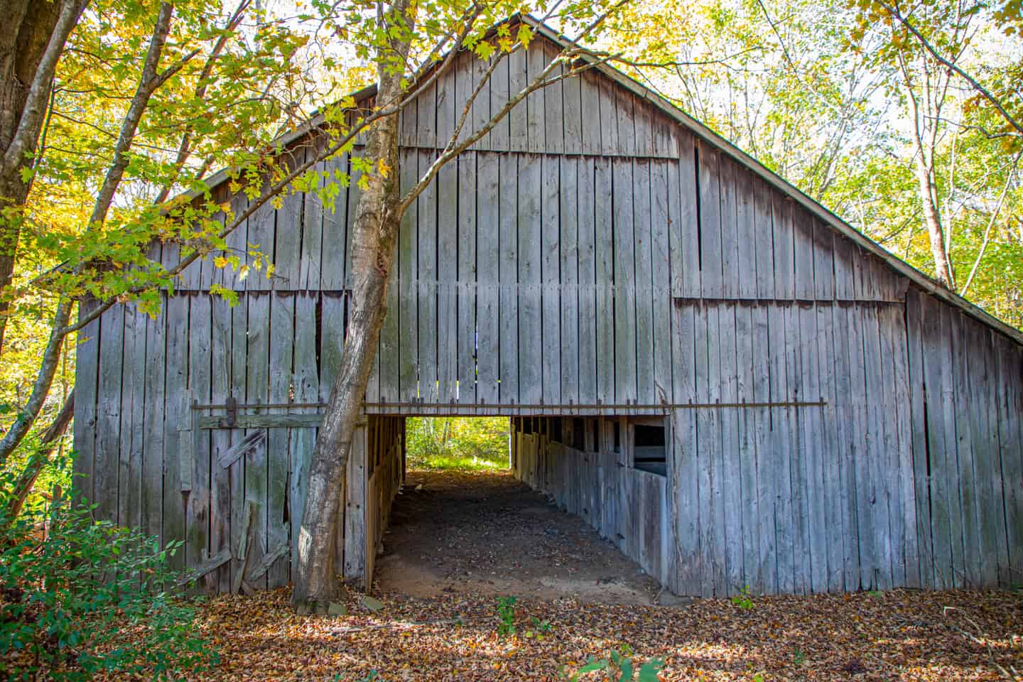 65-Acre Farm in Science Hill, KY – Cropland, Pasture & Hunting