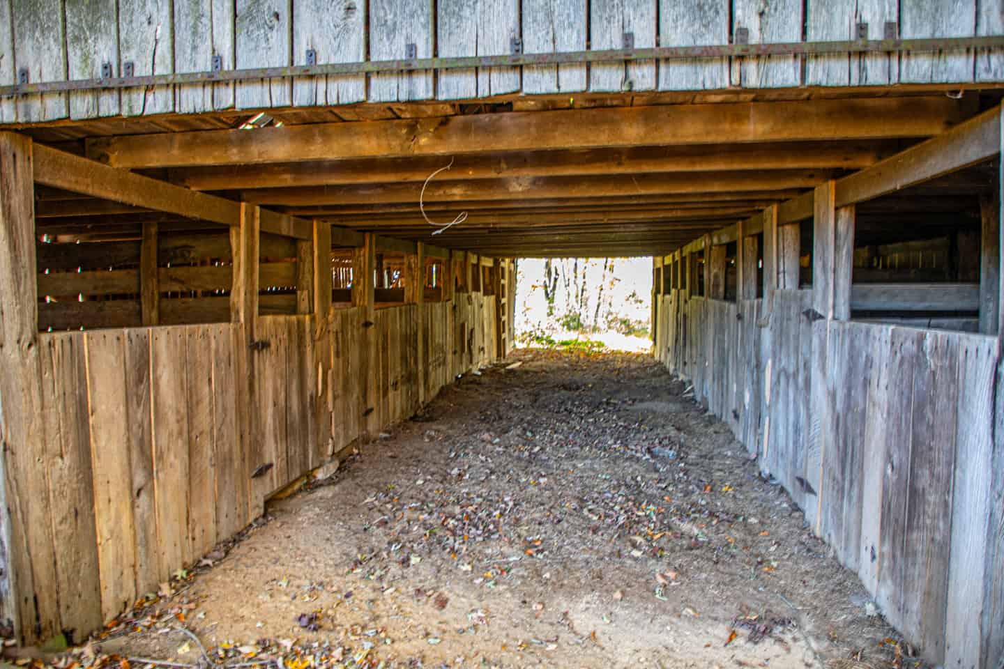 65-Acre Farm in Science Hill, KY – Cropland, Pasture & Hunting