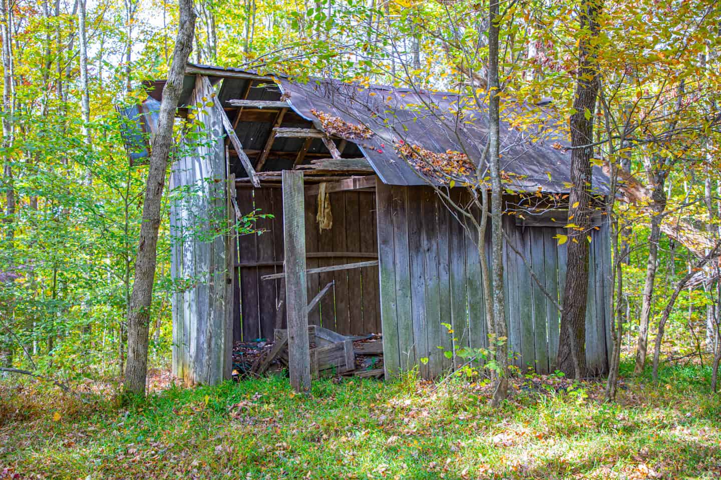 65-Acre Farm in Science Hill, KY – Cropland, Pasture & Hunting