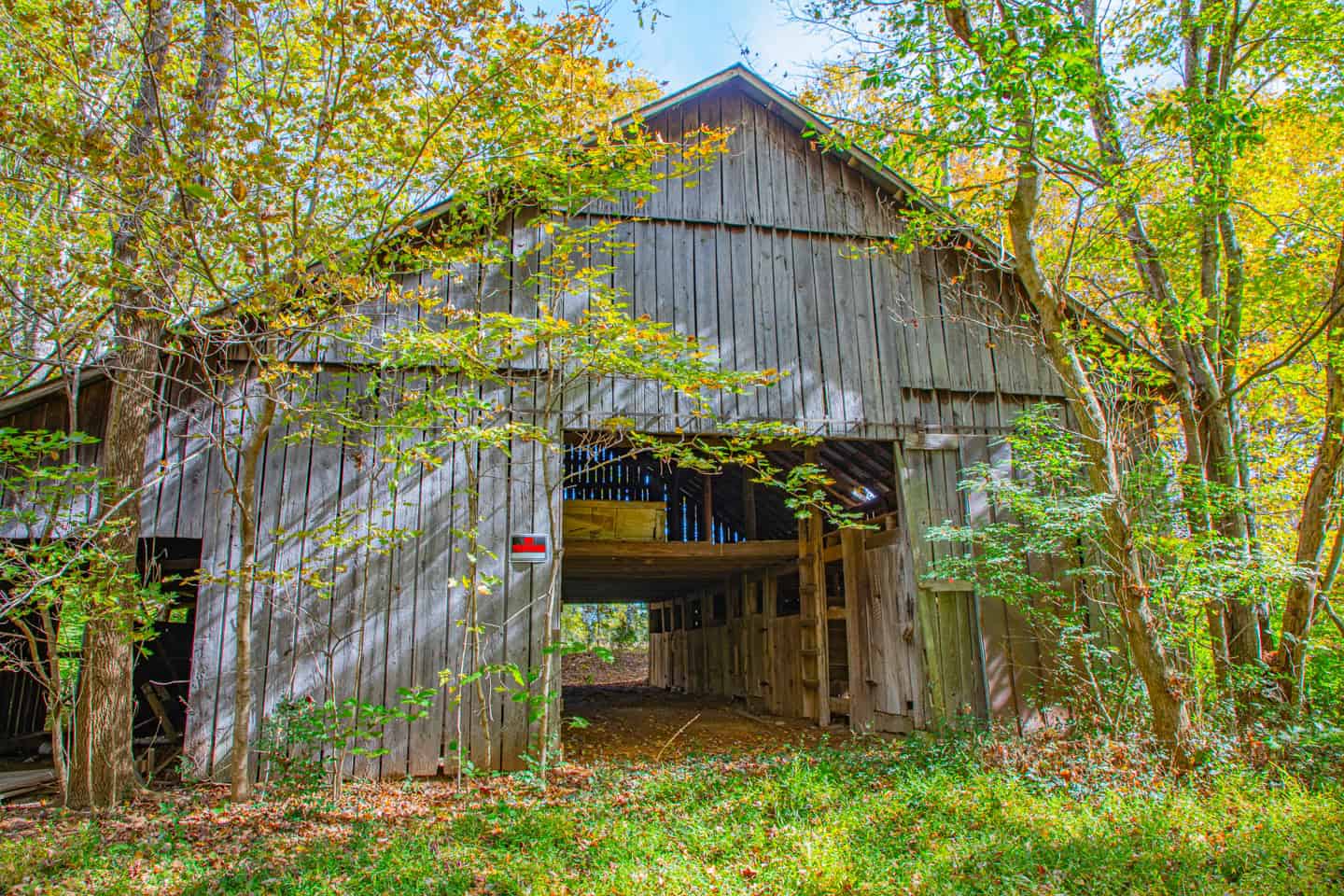 65-Acre Farm in Science Hill, KY – Cropland, Pasture & Hunting