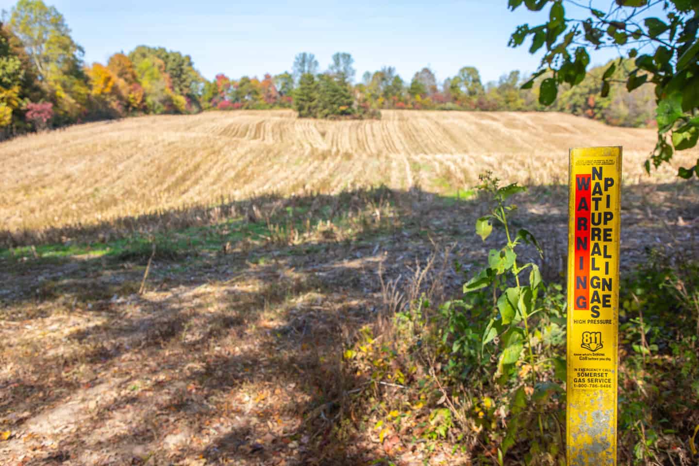 65-Acre Farm in Science Hill, KY – Cropland, Pasture & Hunting